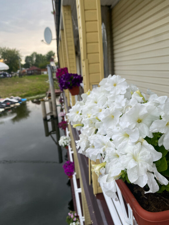 Фото Яхт-клуб Фрегат