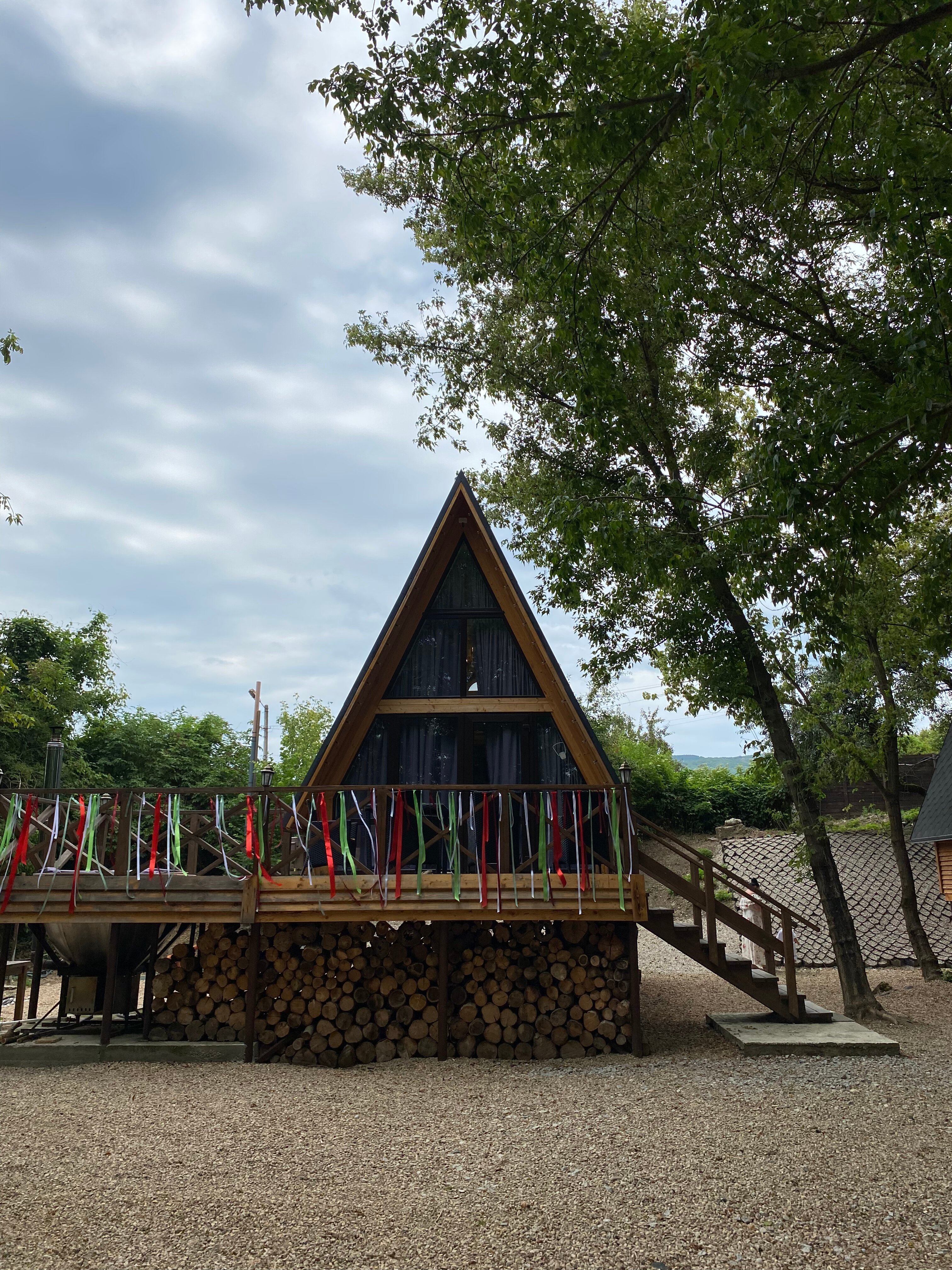 Фото Богатый лес