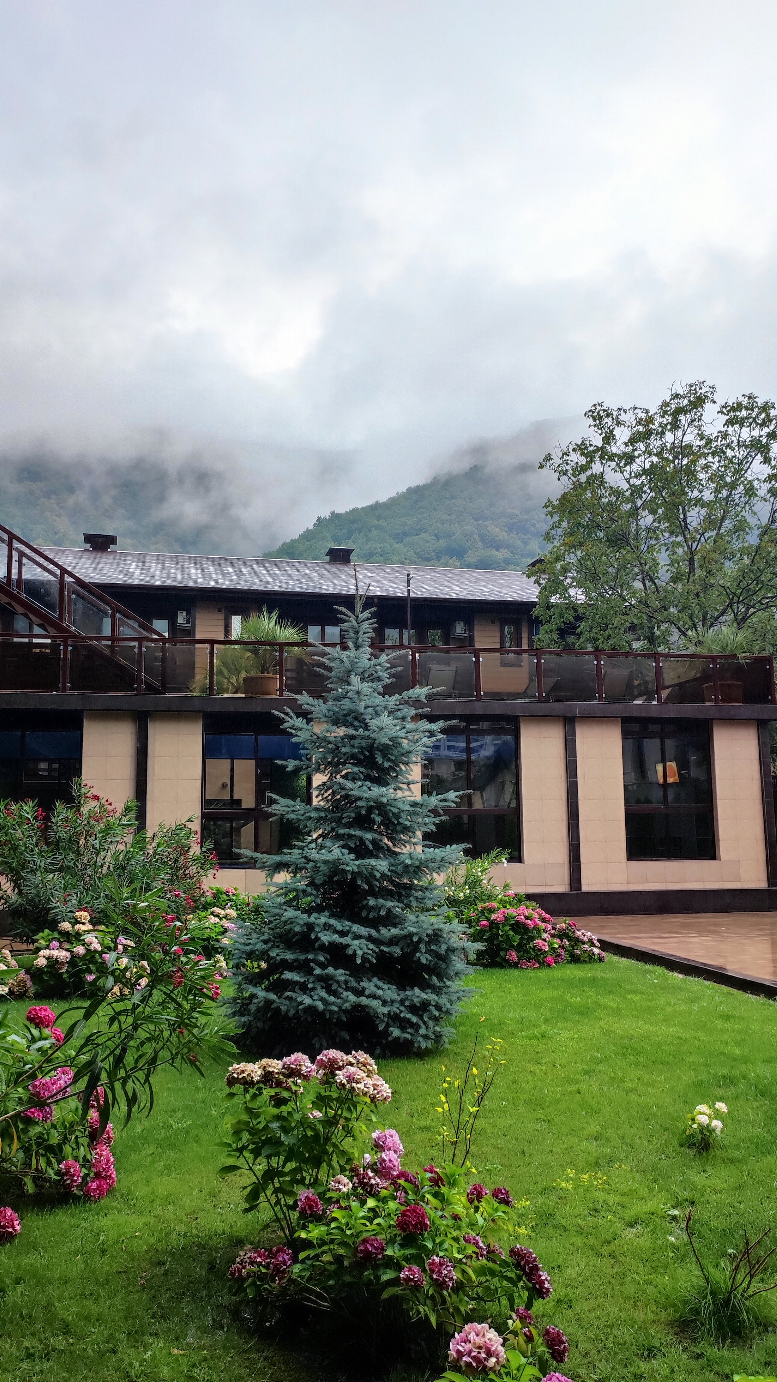 Фото Юна Aqua Life