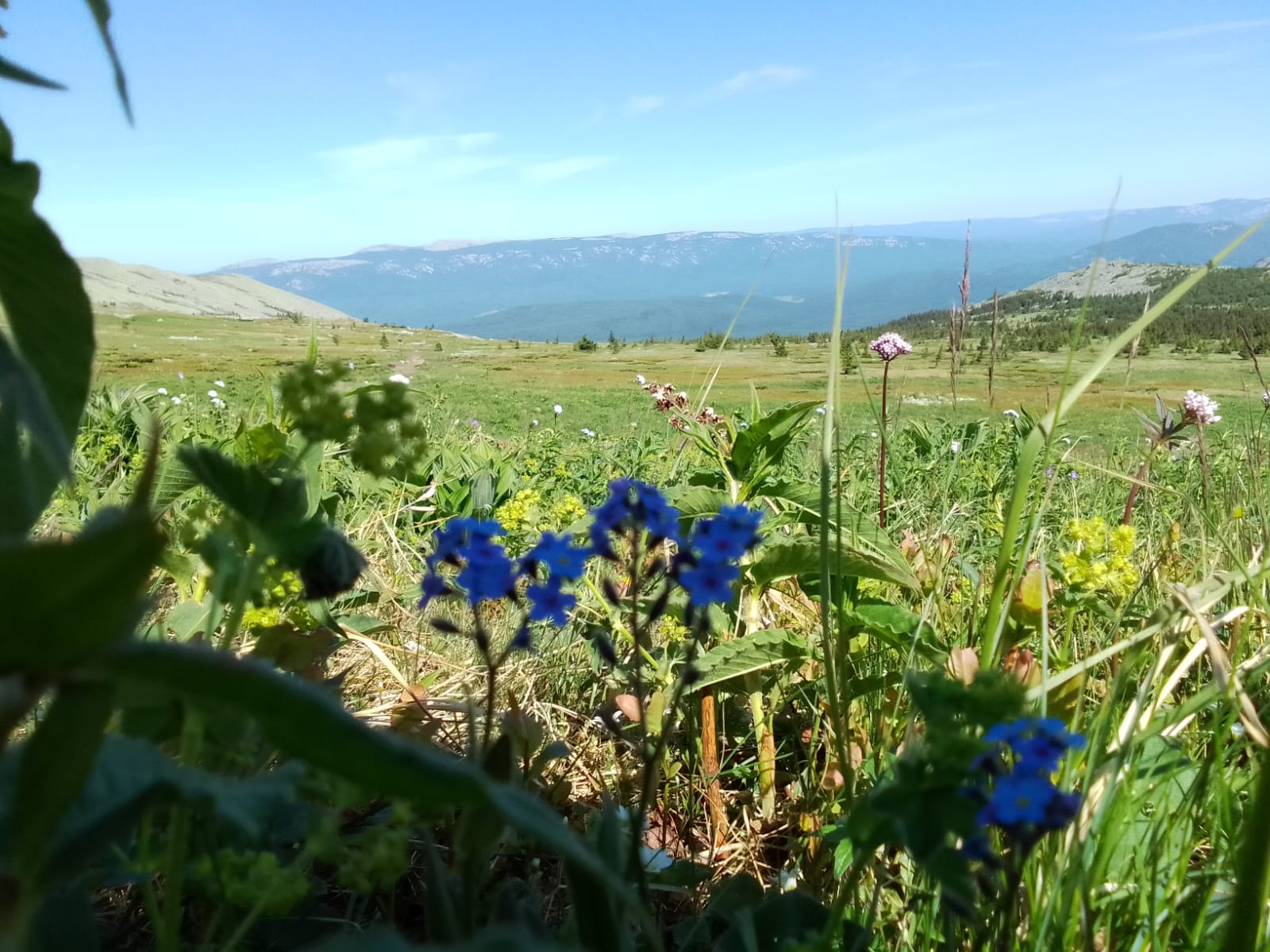 Фото Иремель Роза Ветров