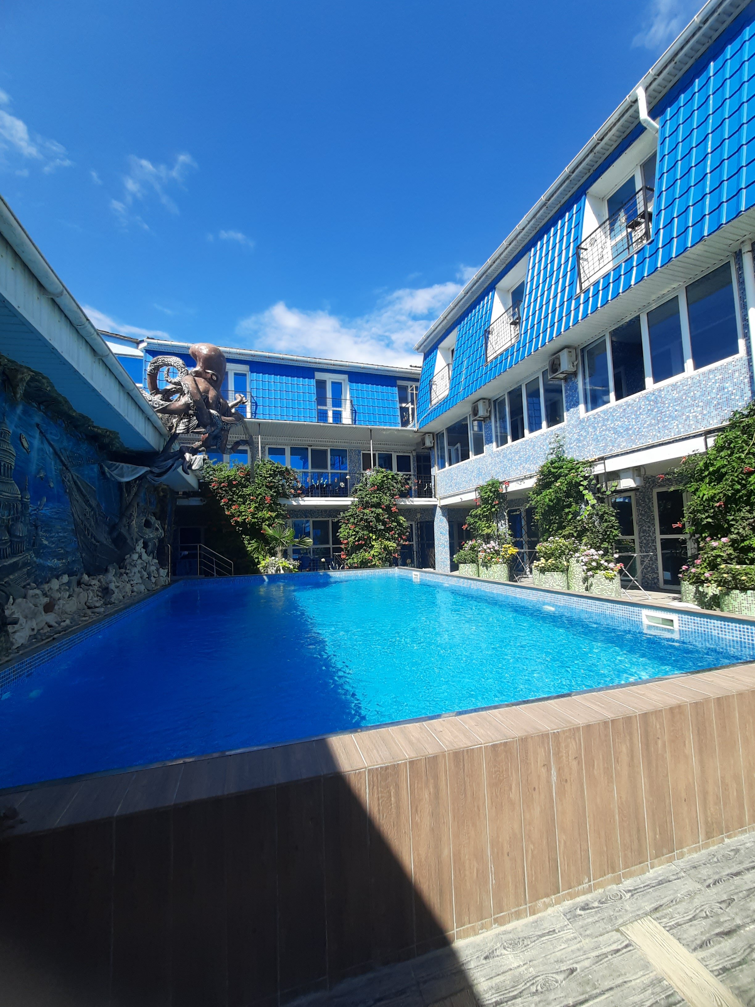 Фото Золотая рыбка