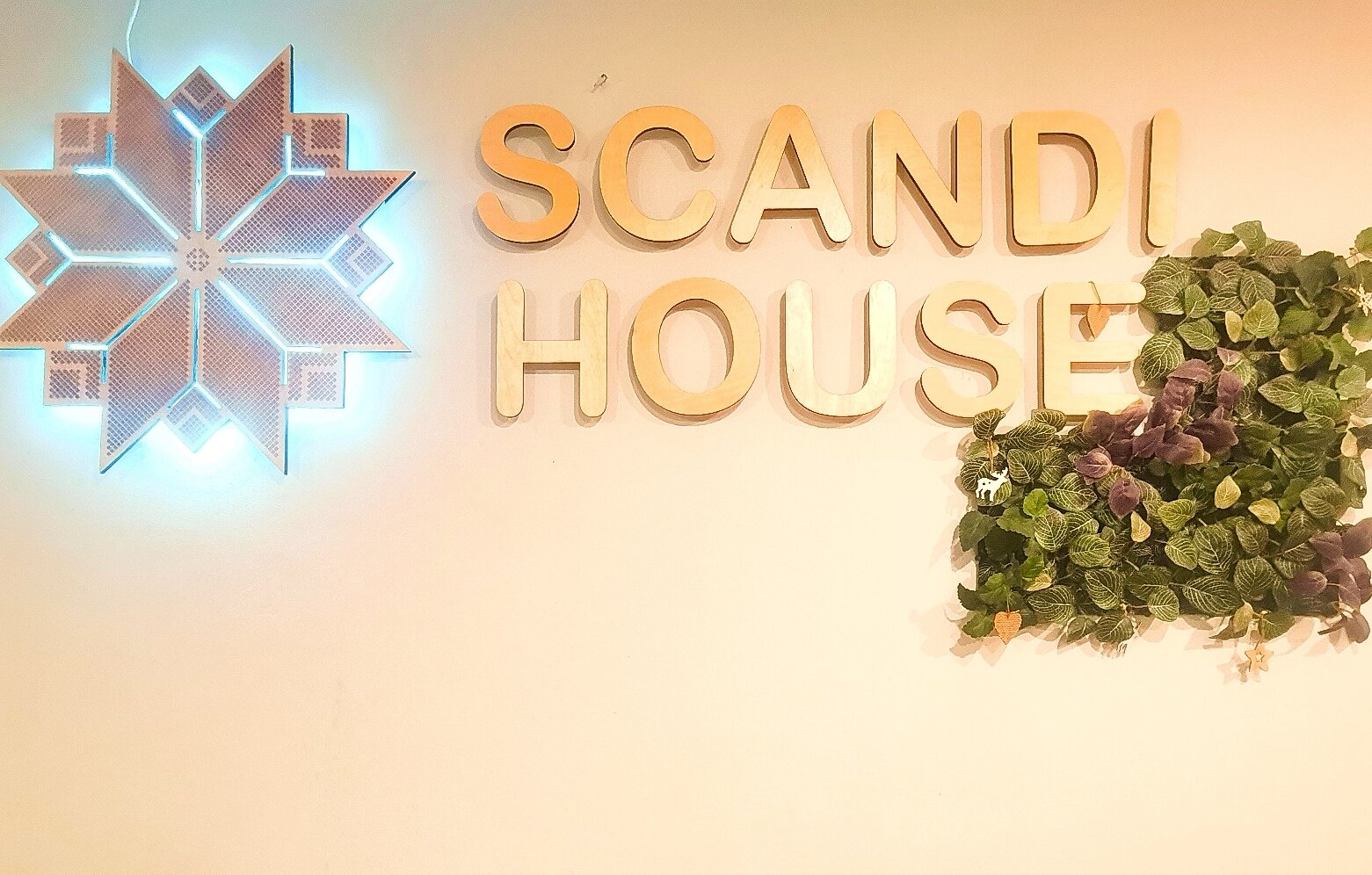 Фото Сканди Хаус