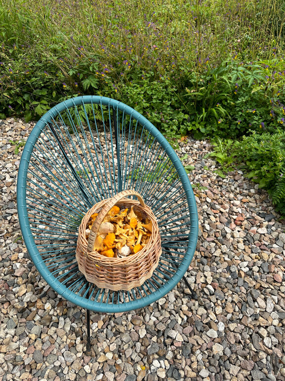 Фото Д Дача