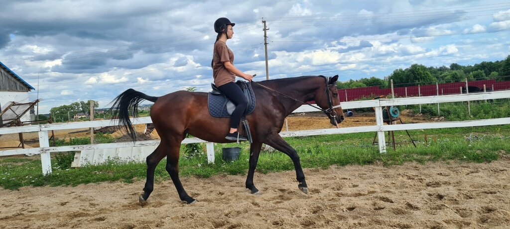 Конный клуб Конно-спортивный комплекс Эфа, Санкт‑Петербург и Ленинградская область, фото