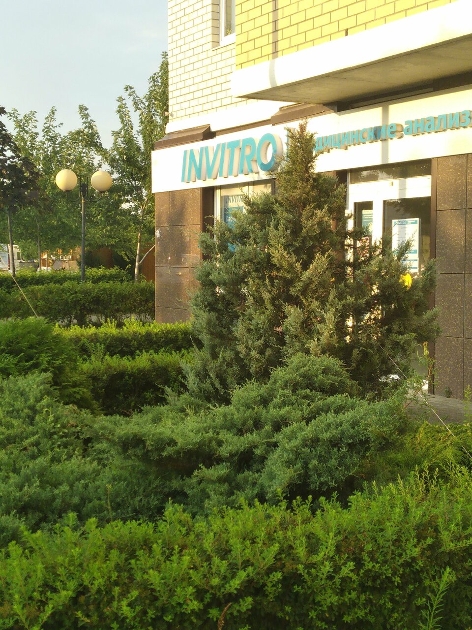 Invitro красная ул 285 усть лабинск фото