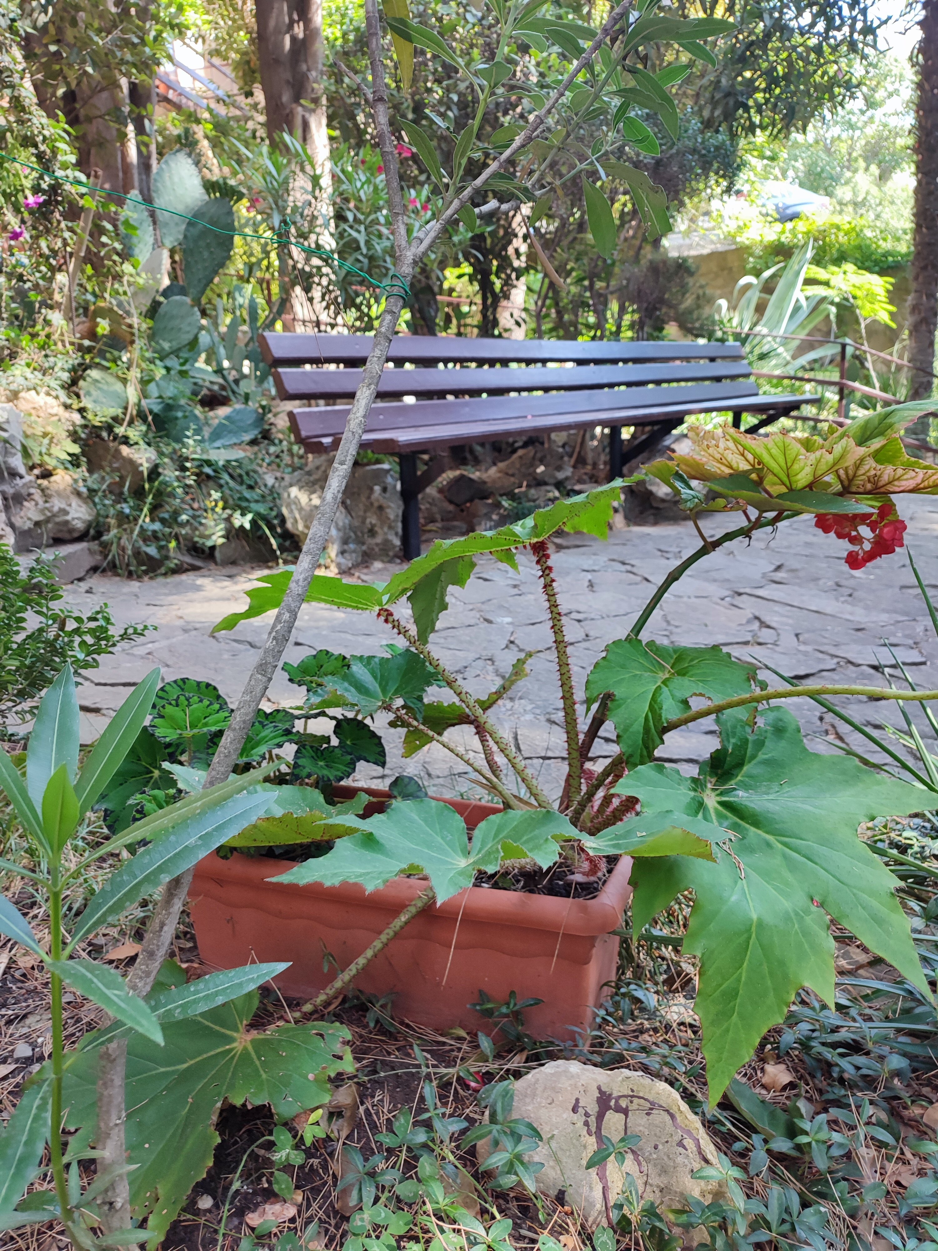 Фото Морской бриз