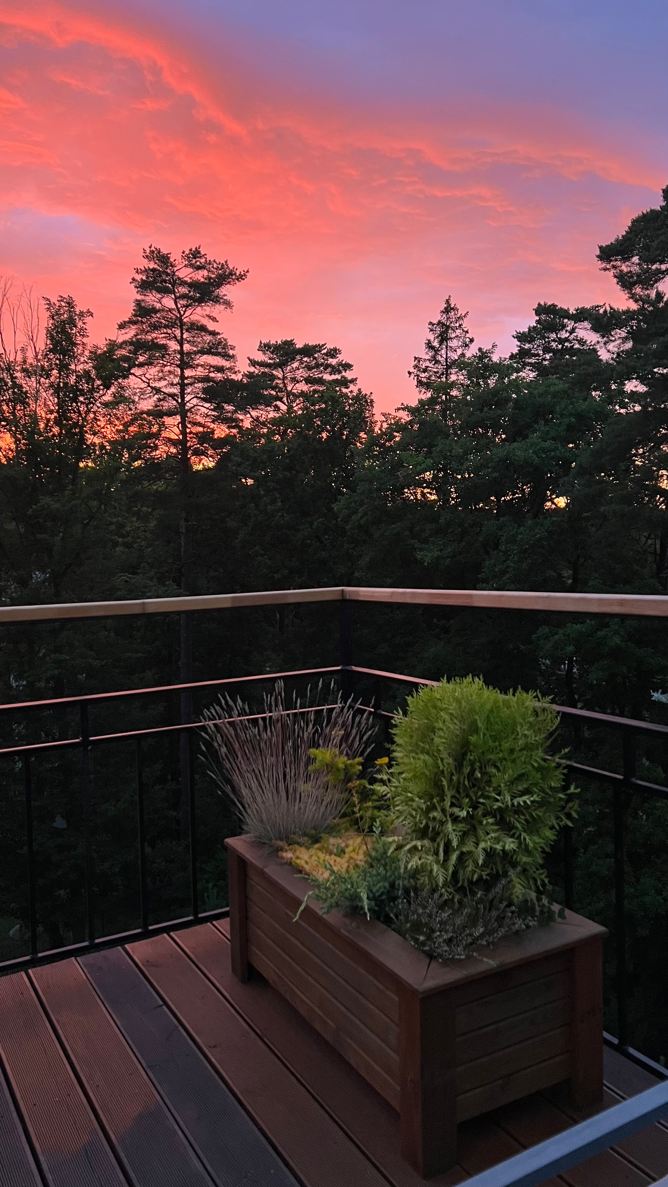 Фото Раушен