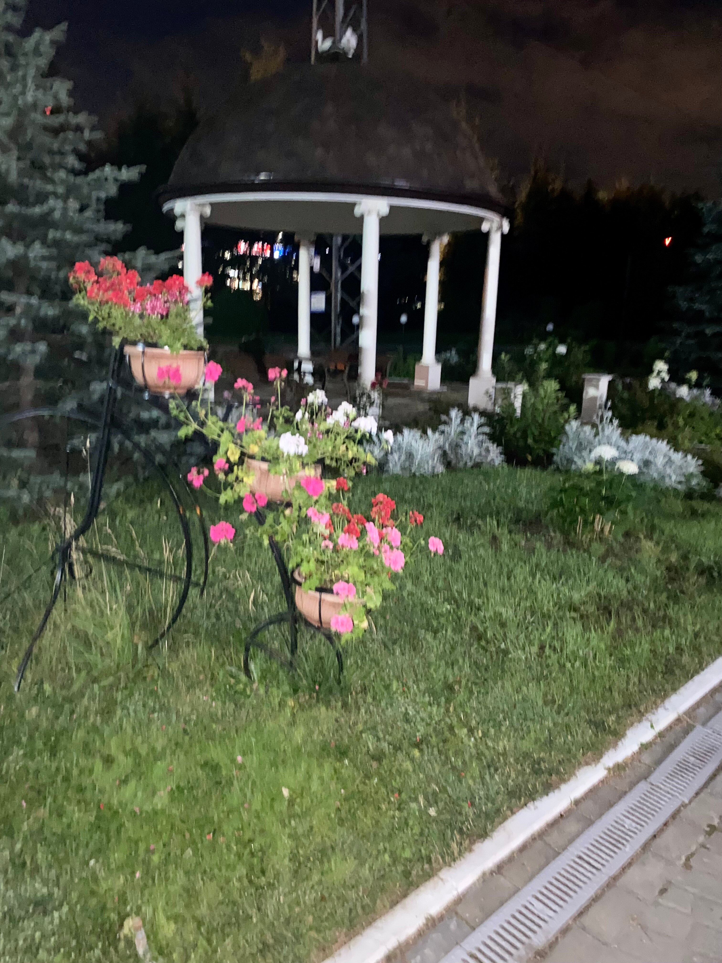 Фото Дворянское гнездо