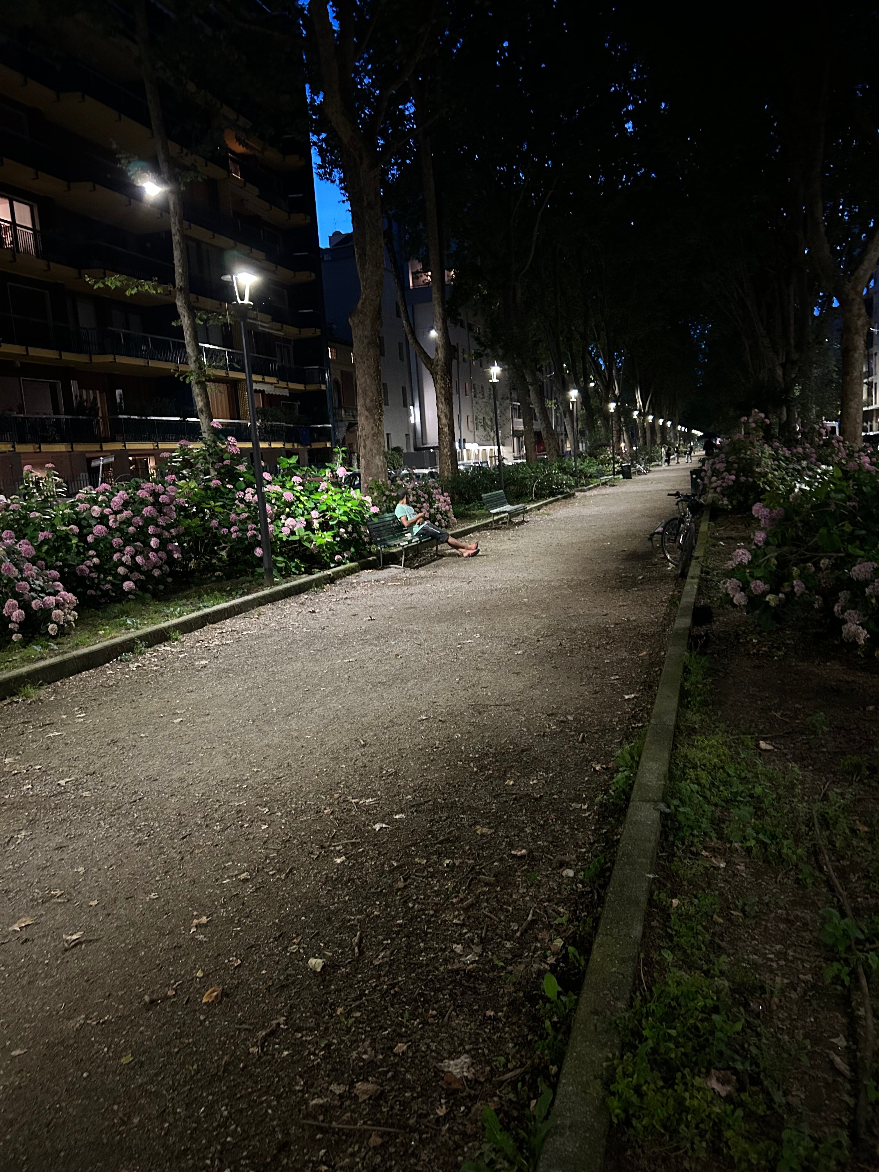 Фото Hotel Domenichino