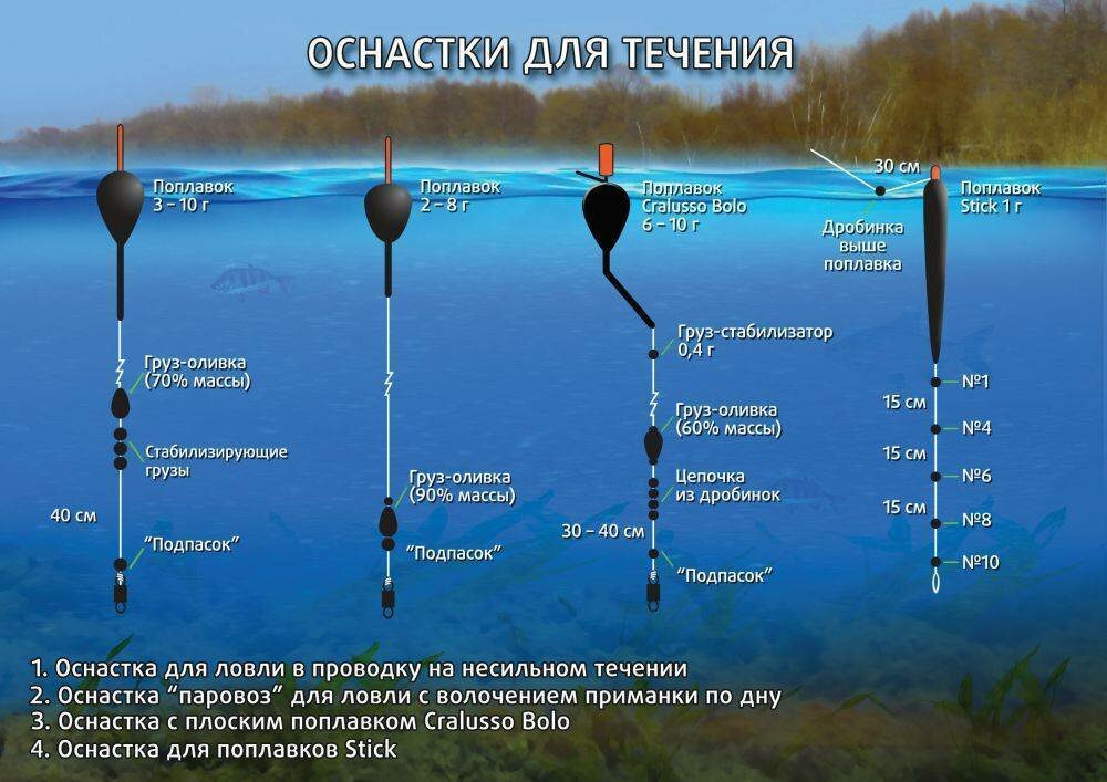 Тактика в спортивной рыбалке