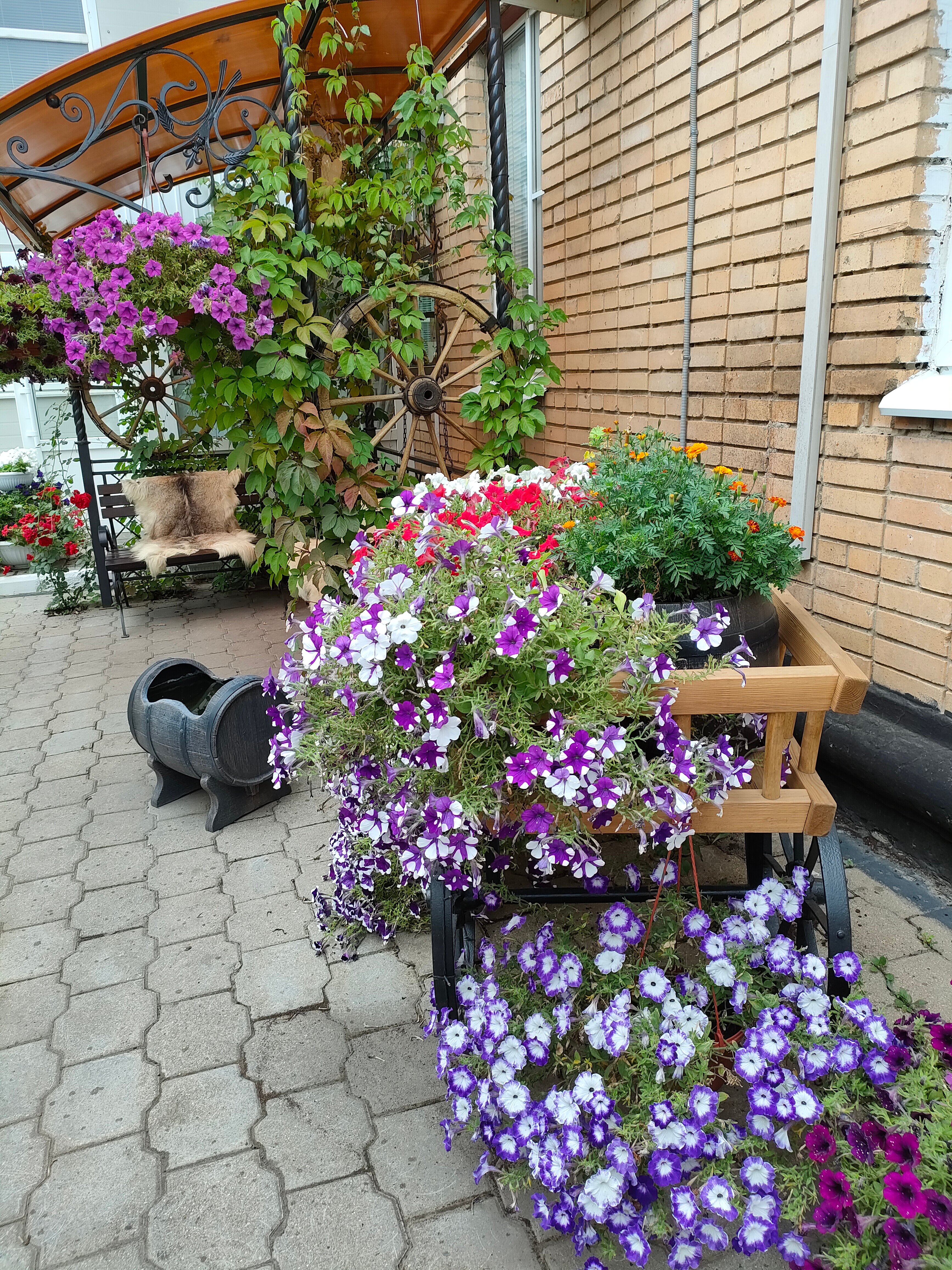 Фото Славянская