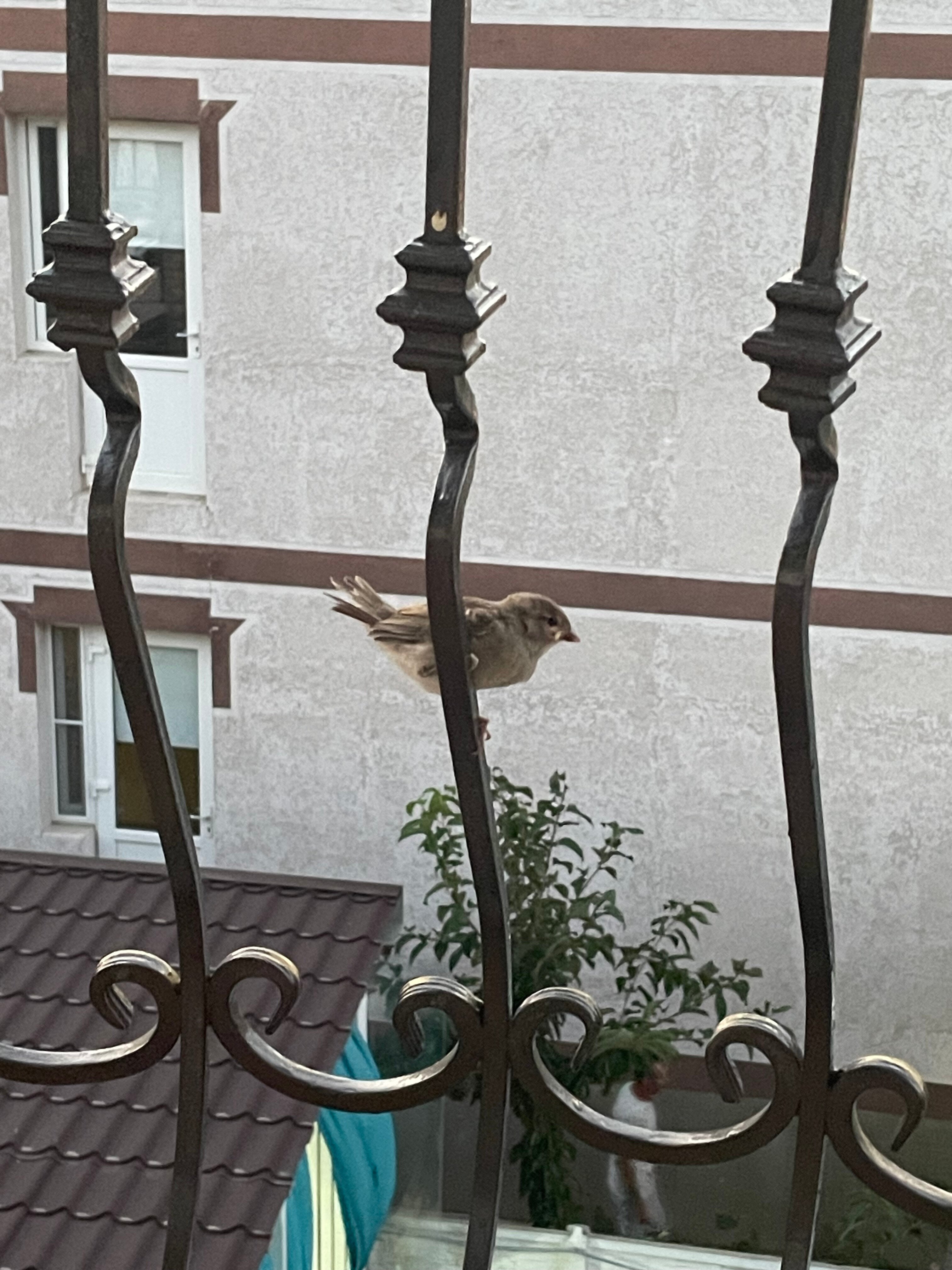 Фото Дэлани