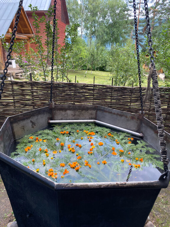 Фото Телецкие Терема