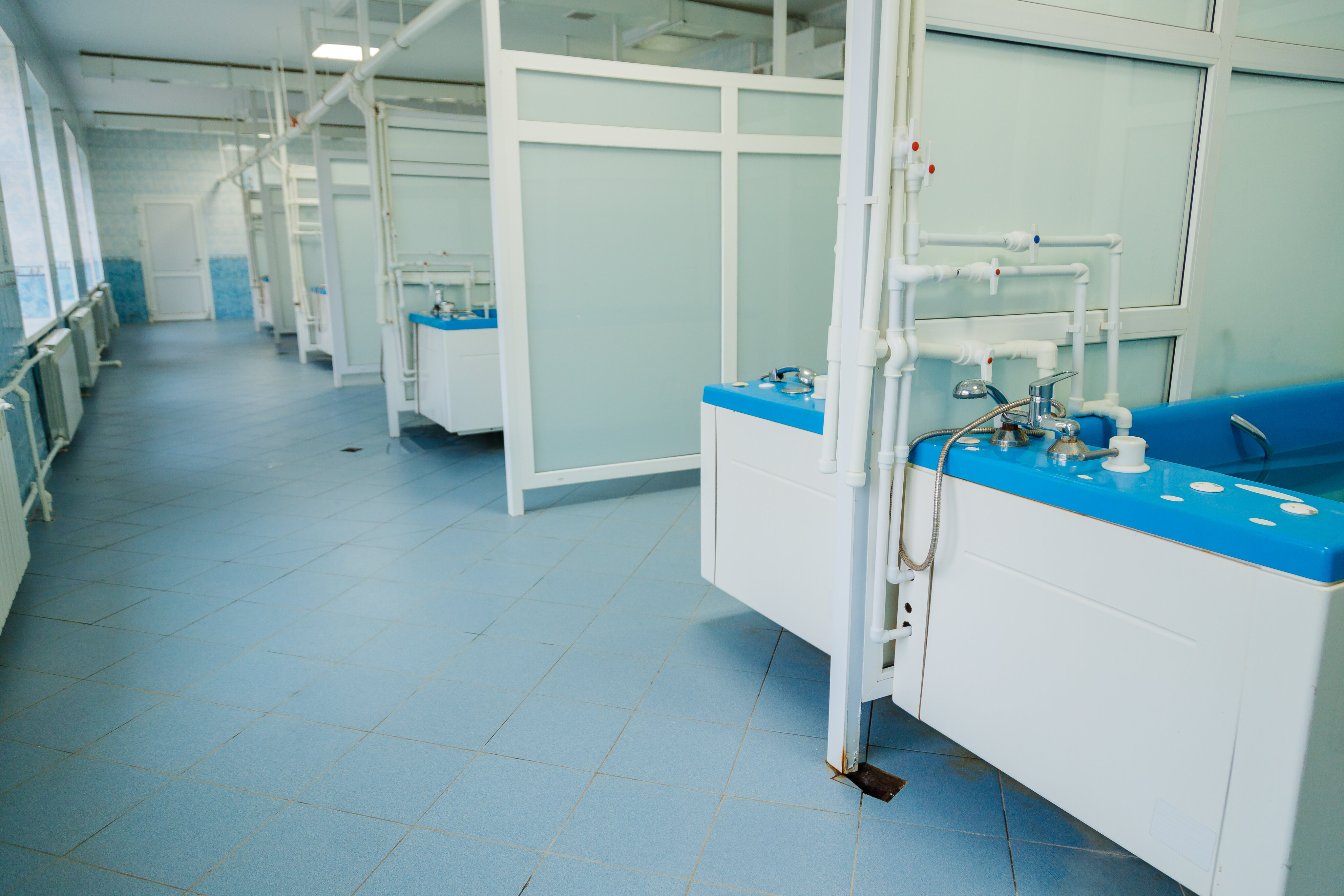 Фото Жемчужина