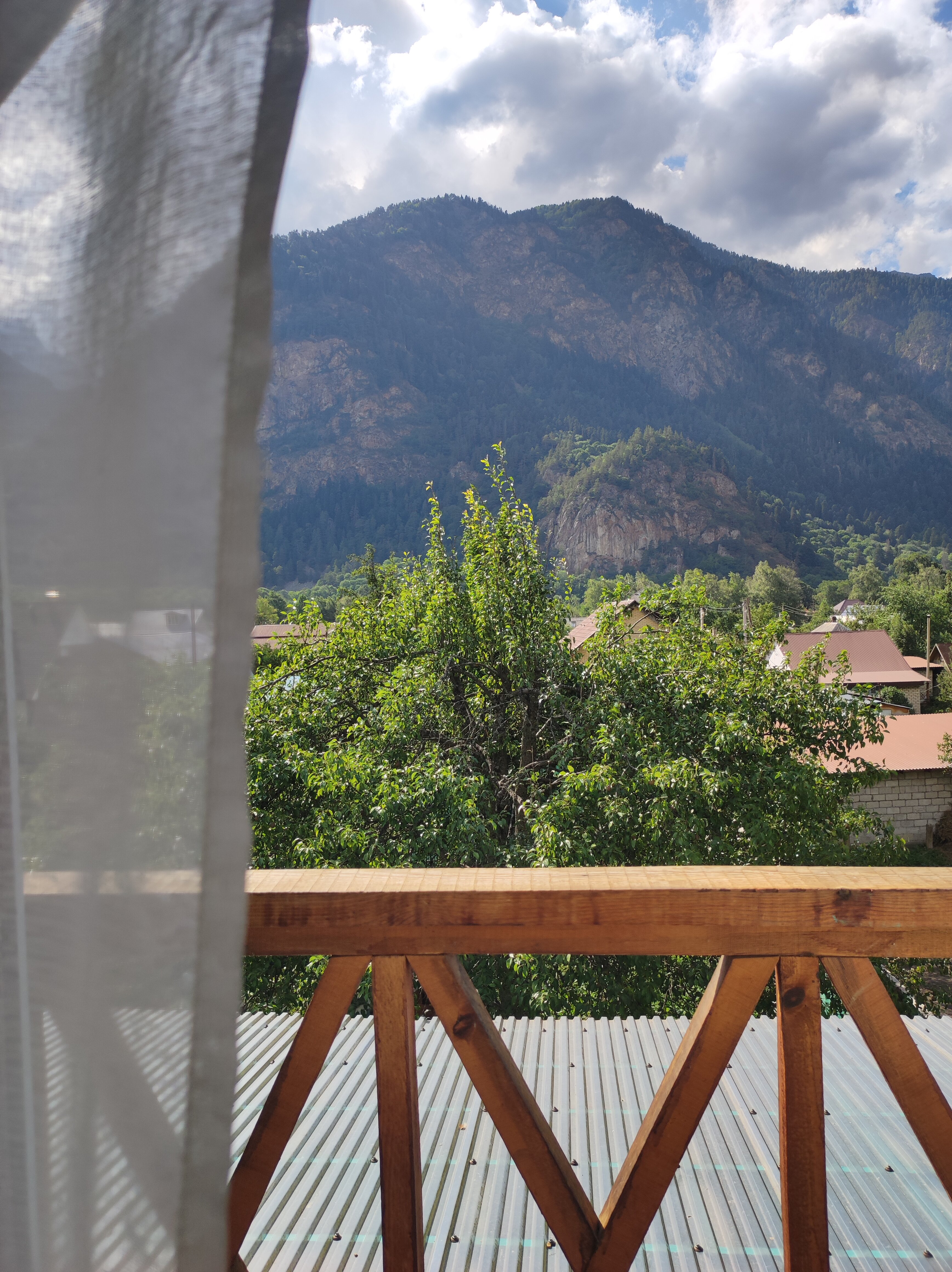 Фото Райские яблоки