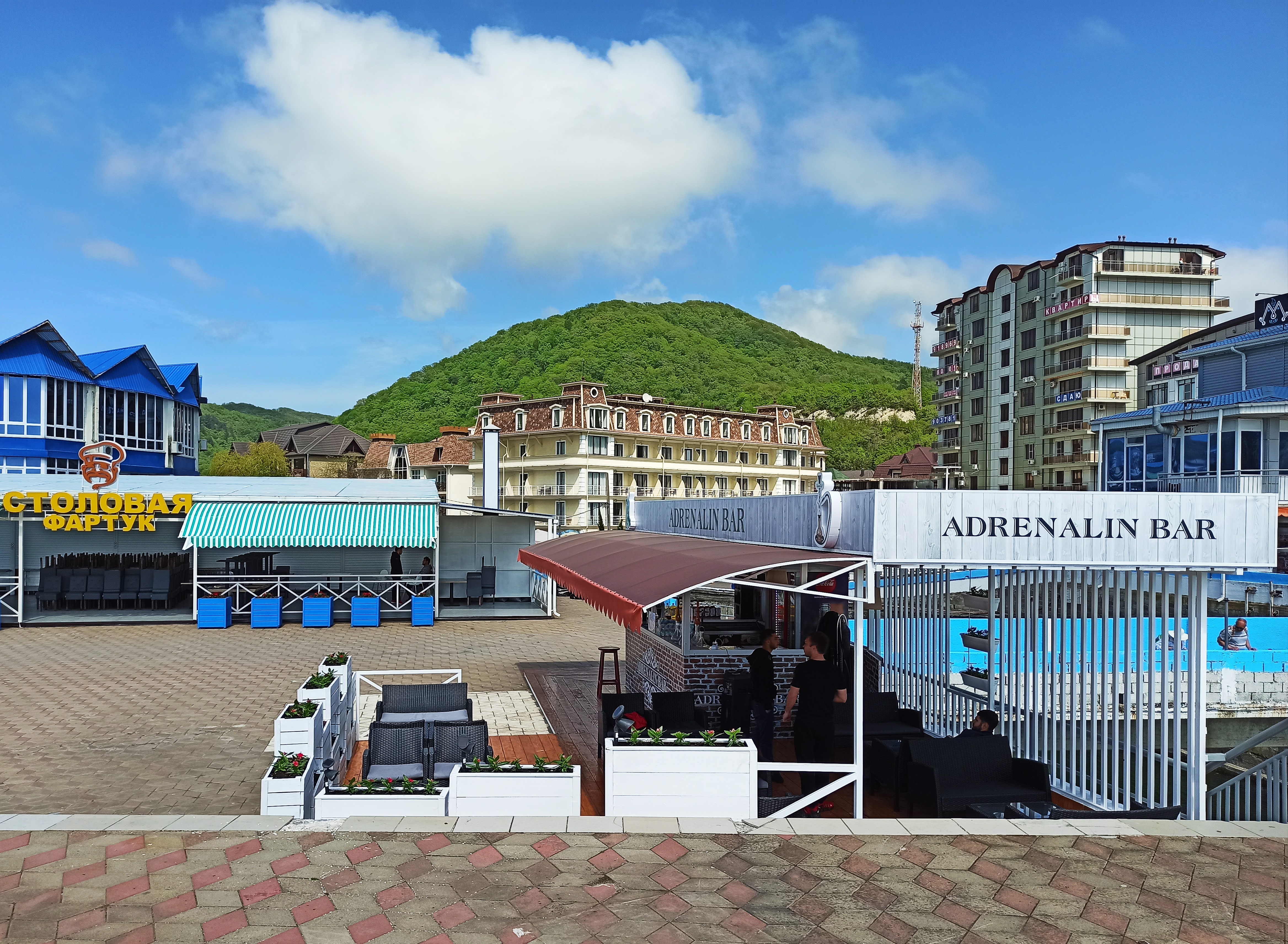 Фото Афалина