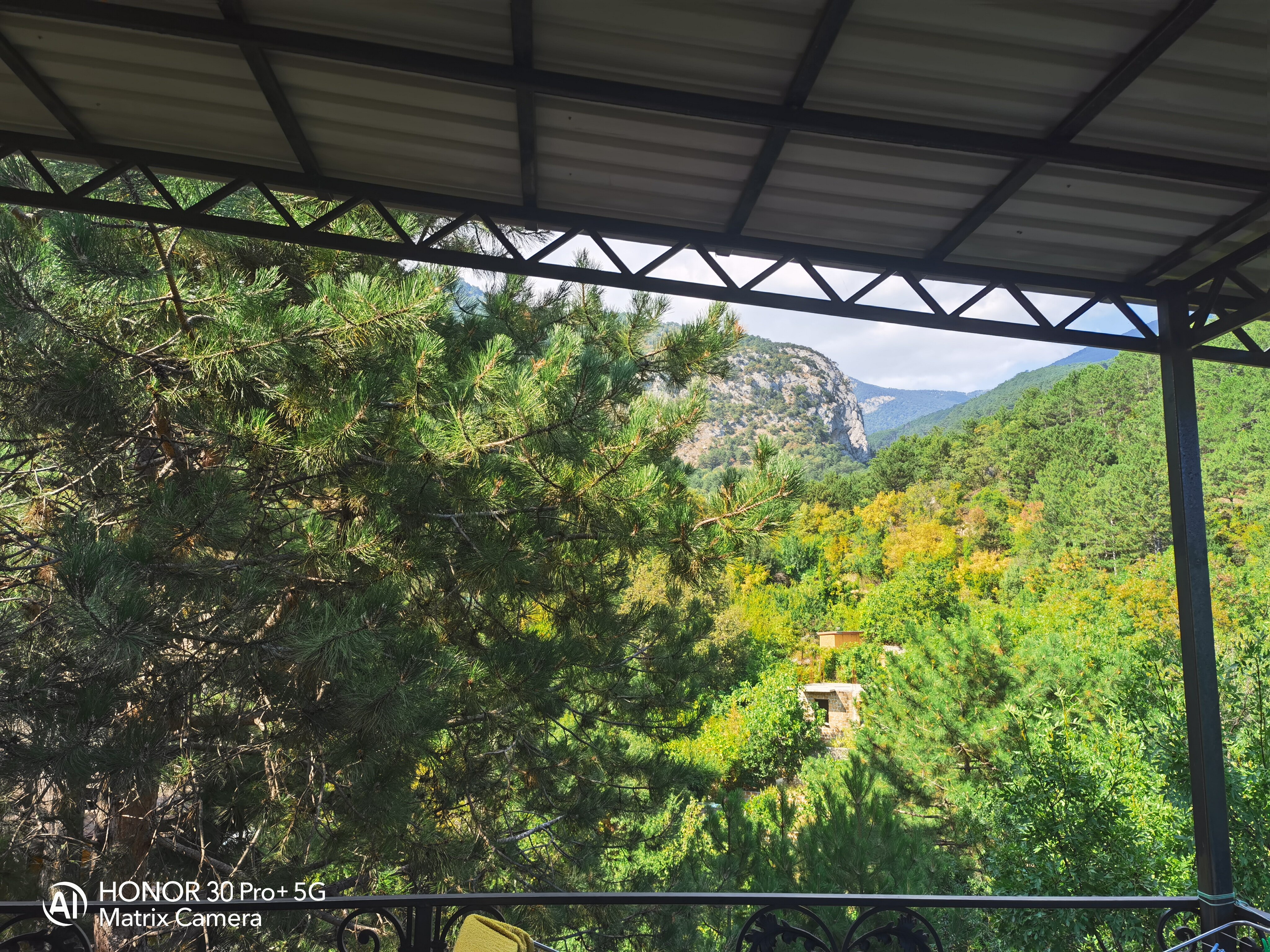 Фото Сердце природы