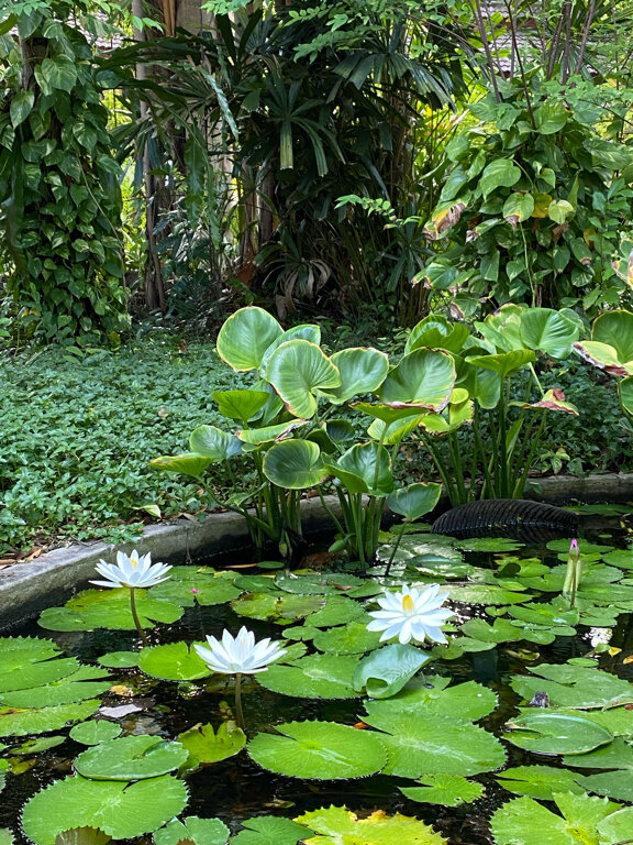 Фото Paradise Beach Resort