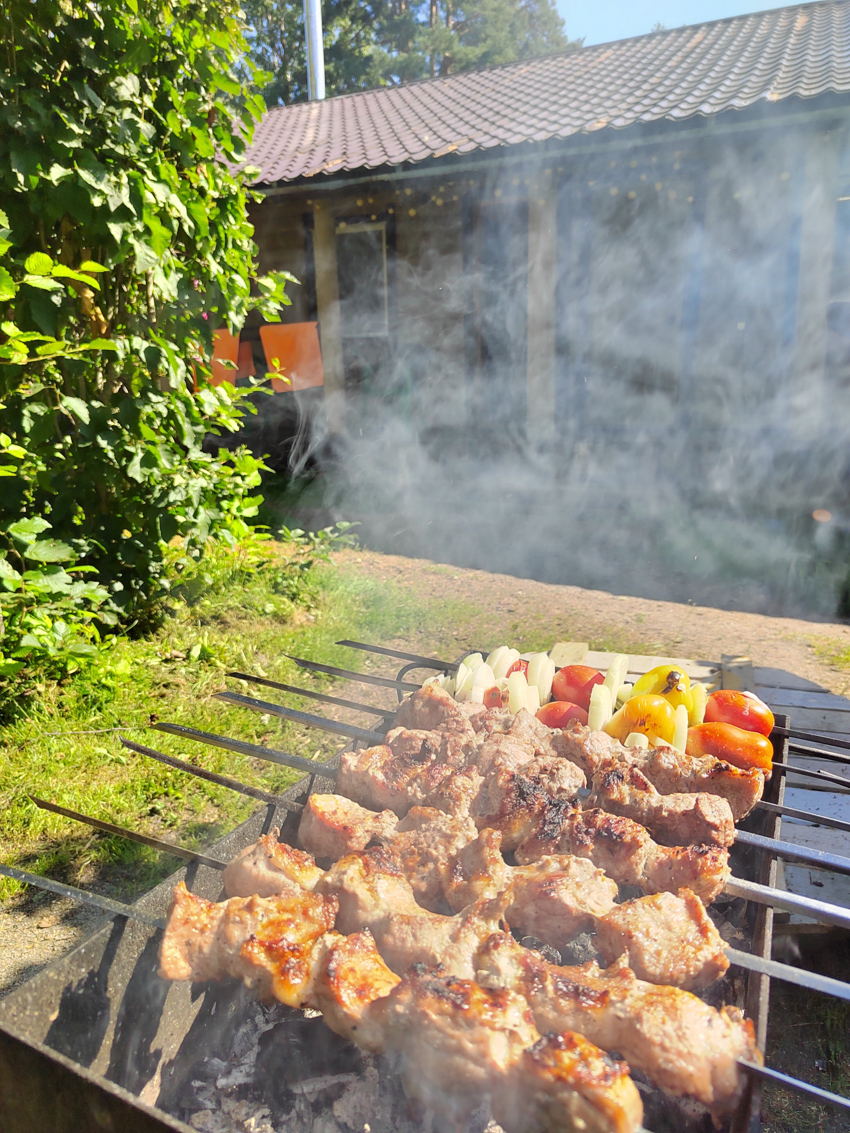 Фото Беличье