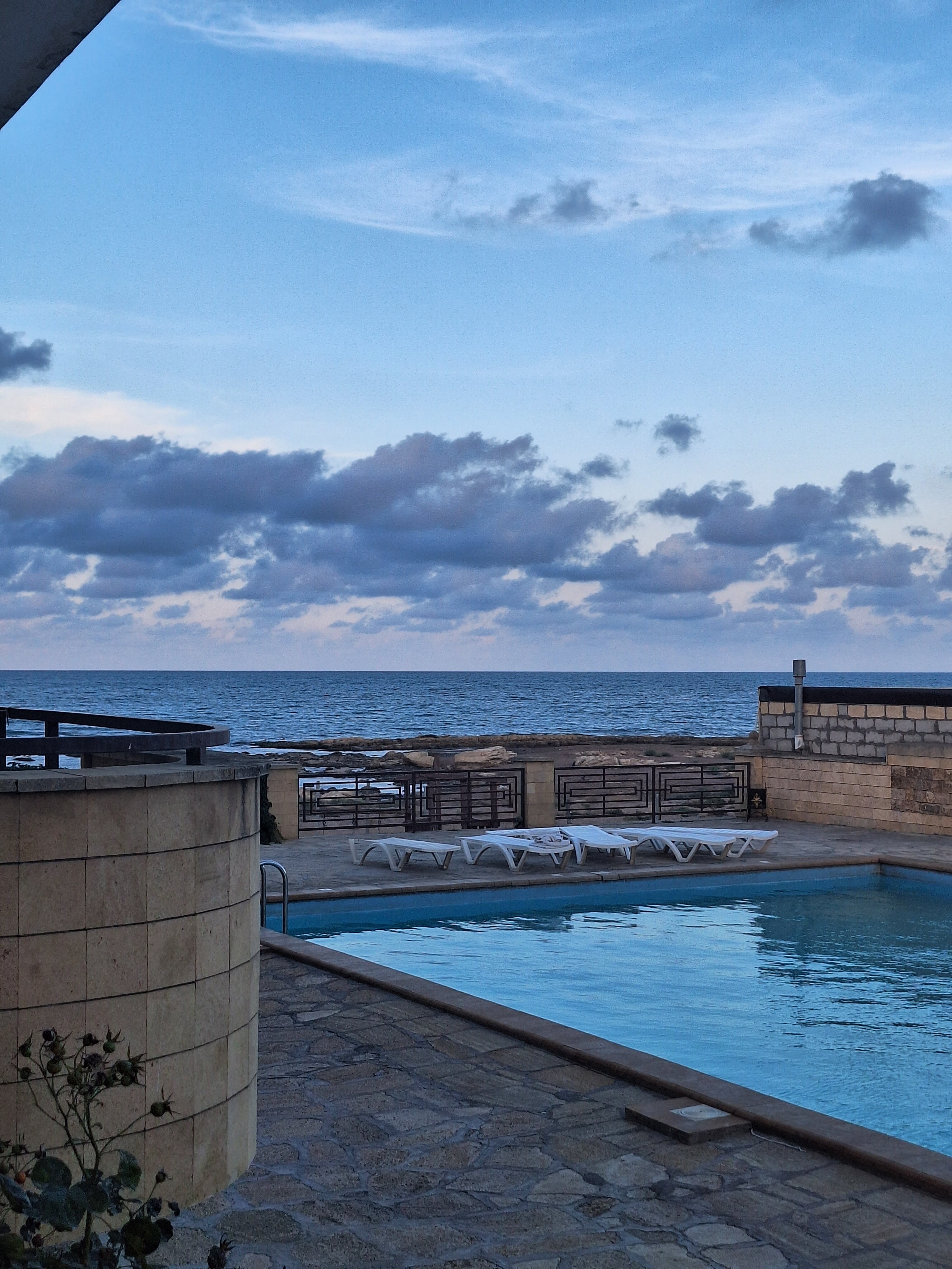 Фото Ассорти