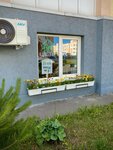 Home green home (посёлок Жилино-1, 1-й квартал, 7), магазин цветов в Москве и Московской области