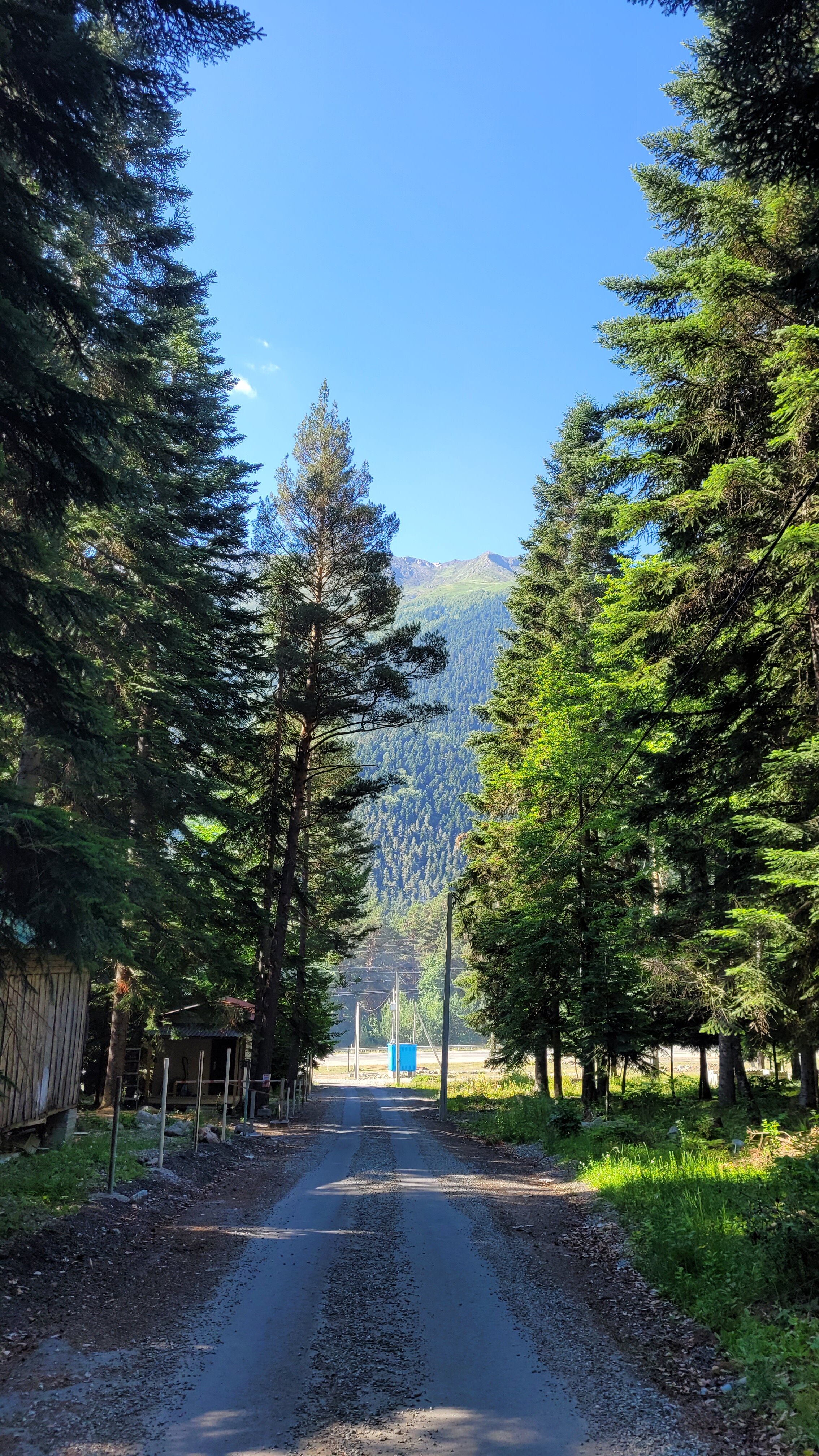 Фото Тур-домики Поляна Зубров