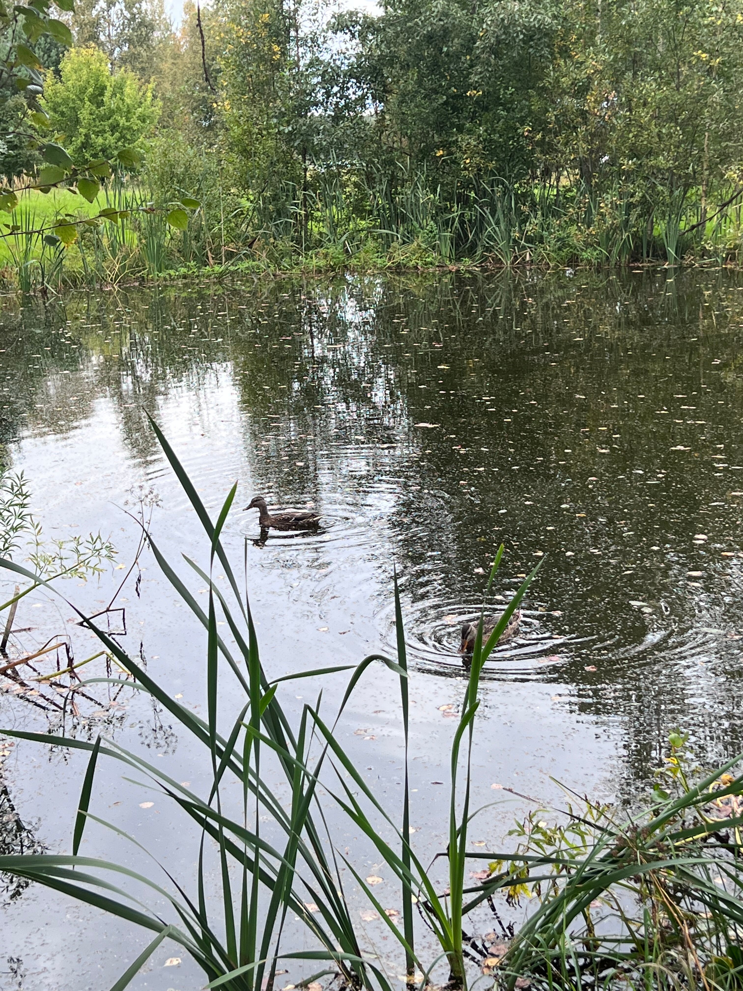 Фото Боровое