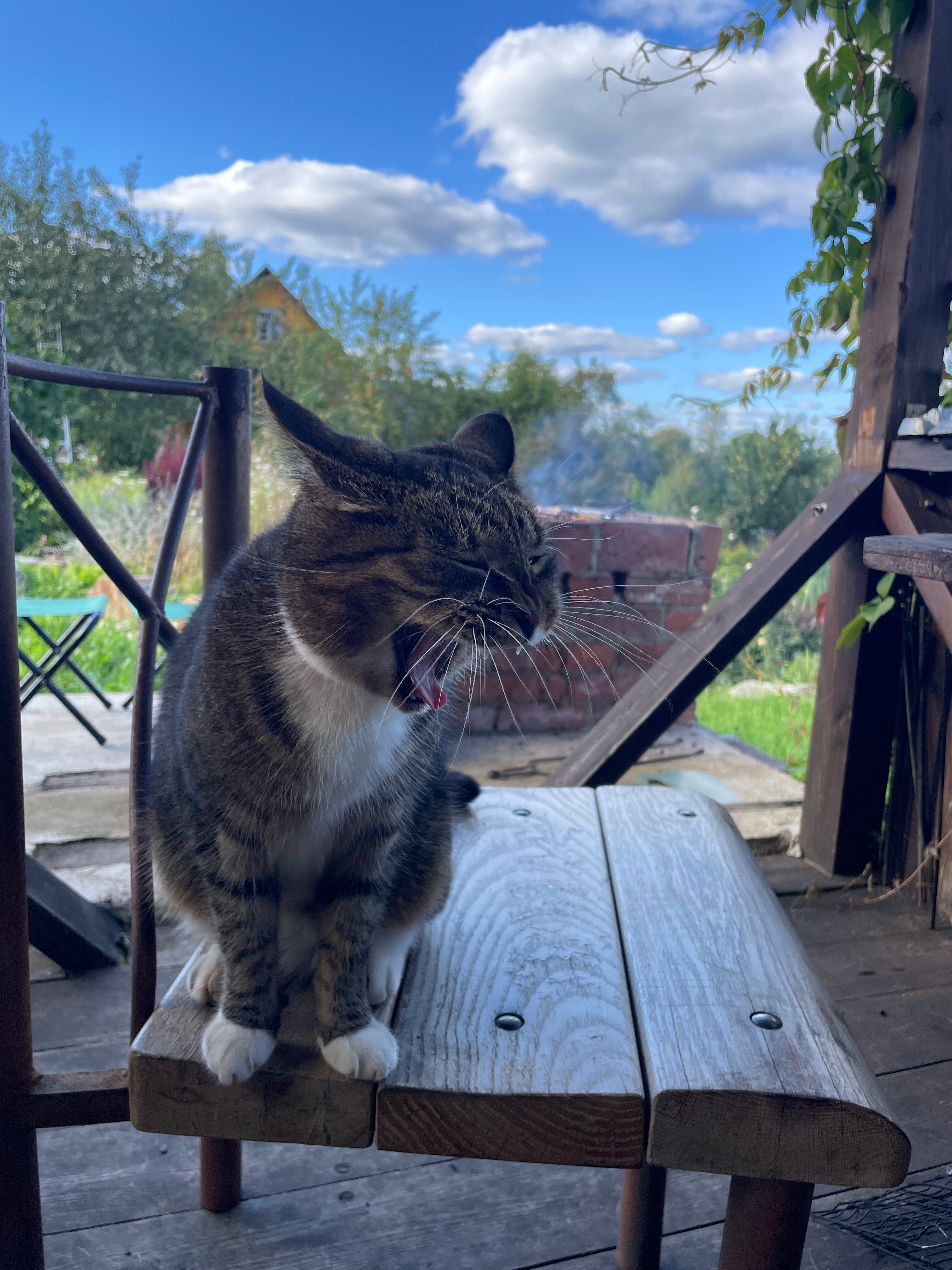 Фото Три Галки