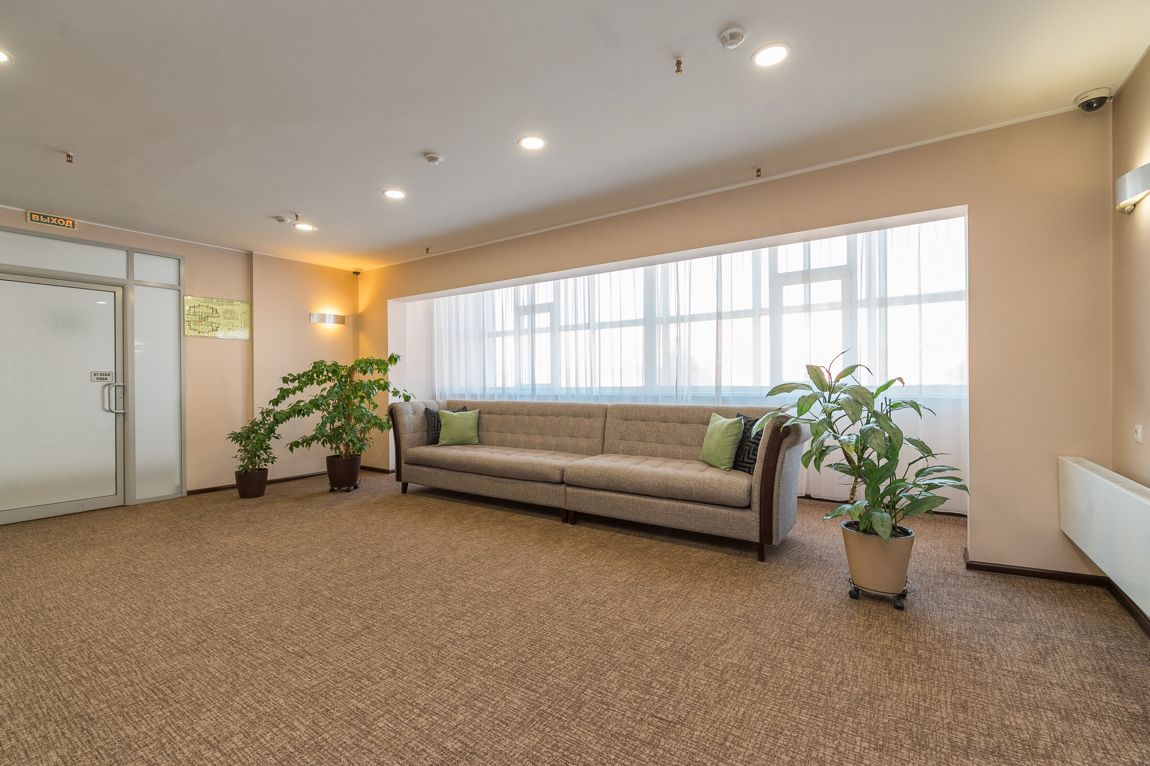 Фото Сагаан Морин