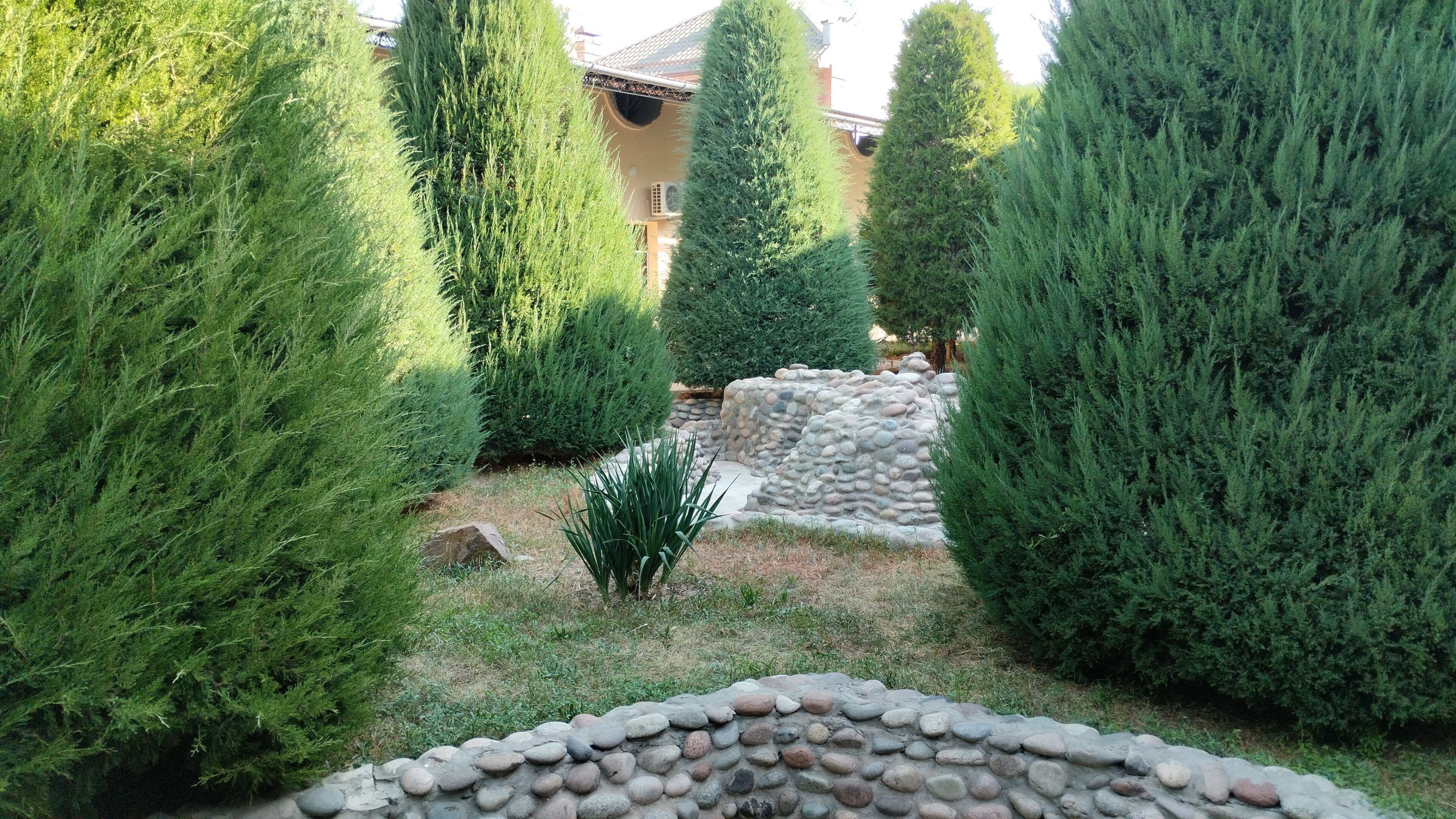 Фото Rohat Mirobod