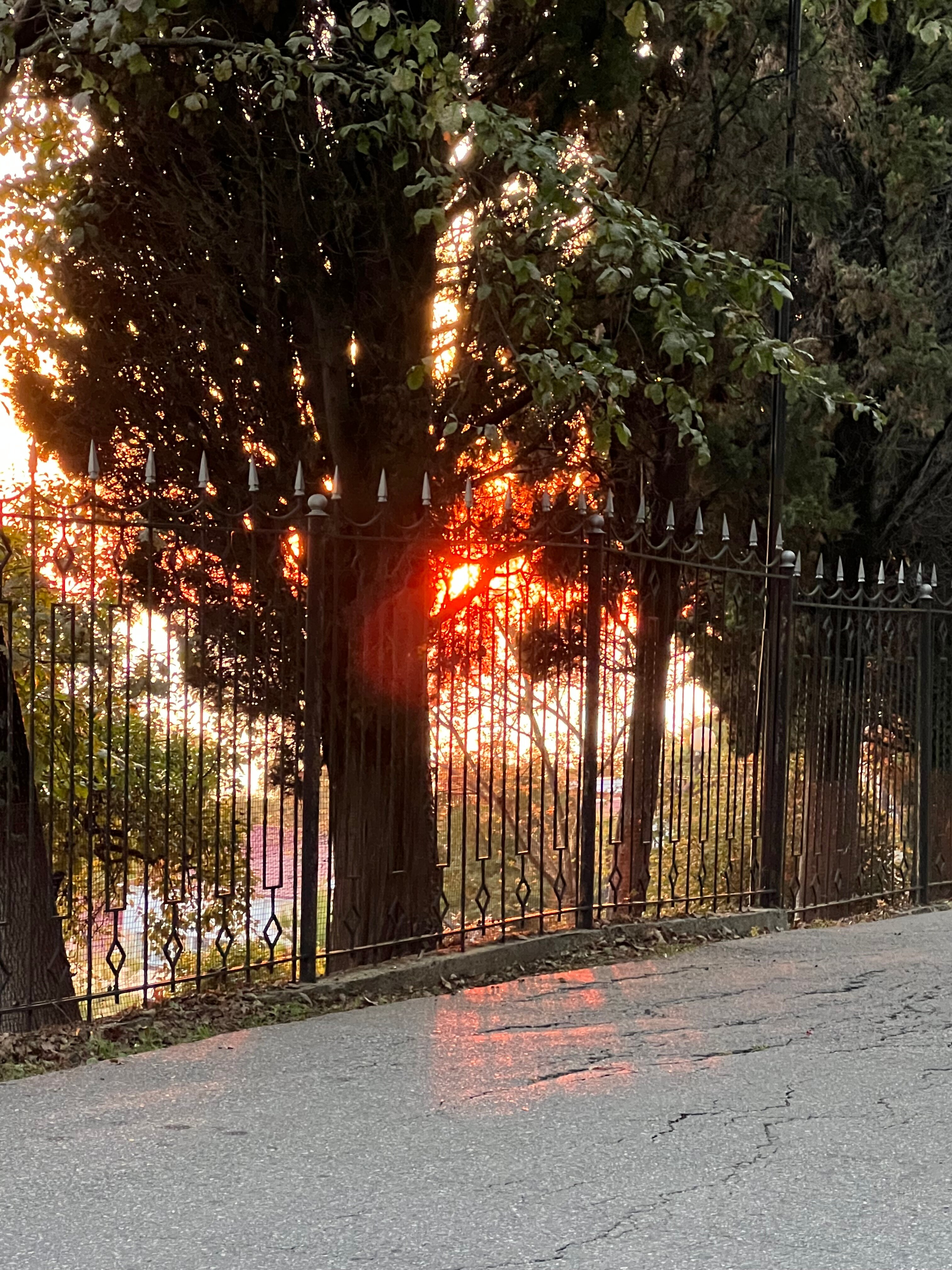 Фото Горизонт