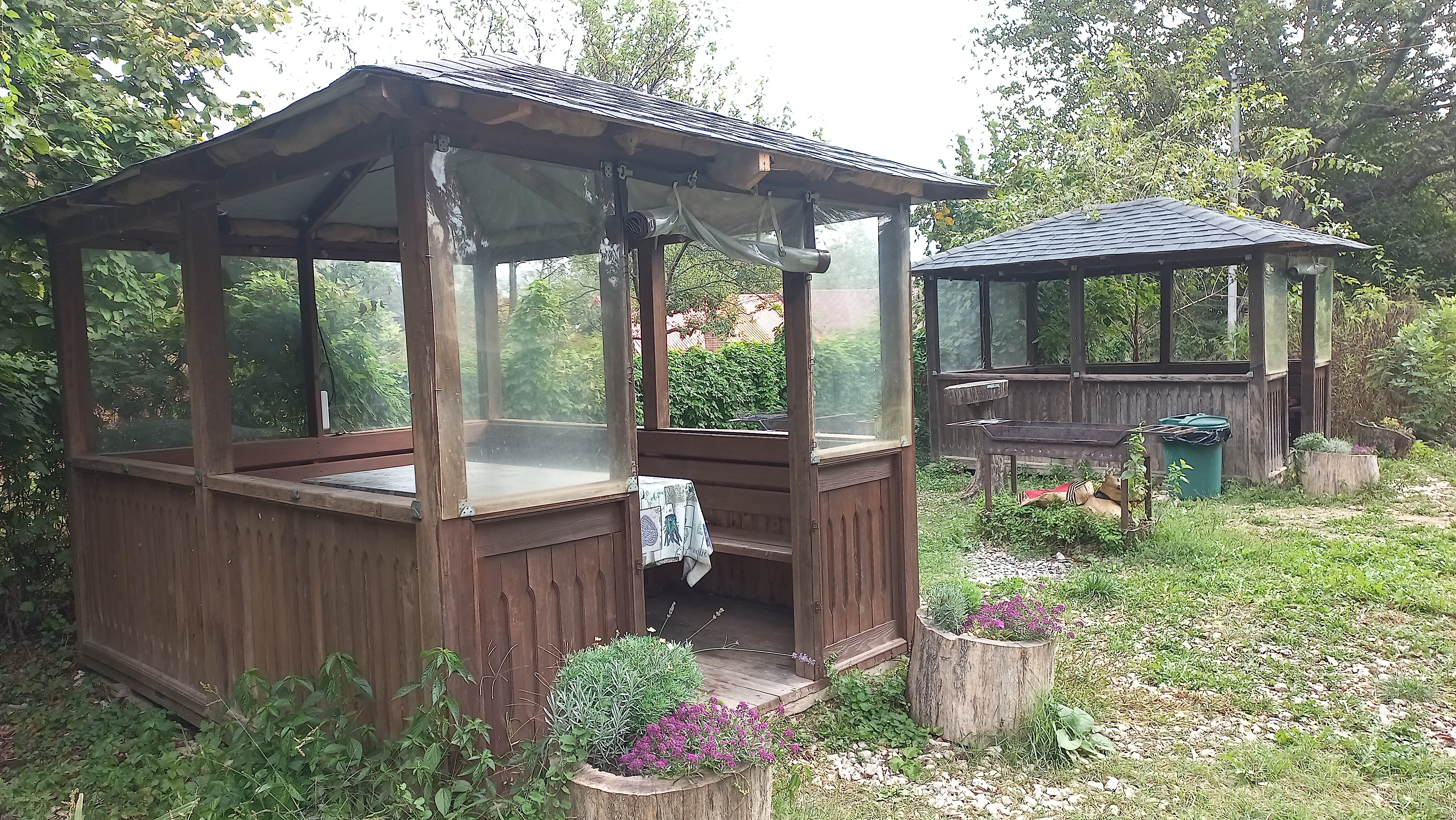 Фото Горная Лаванда