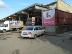 Kostanayshin (Asfaltnaya Street, 22) ، إطارات وسبائك السيارات