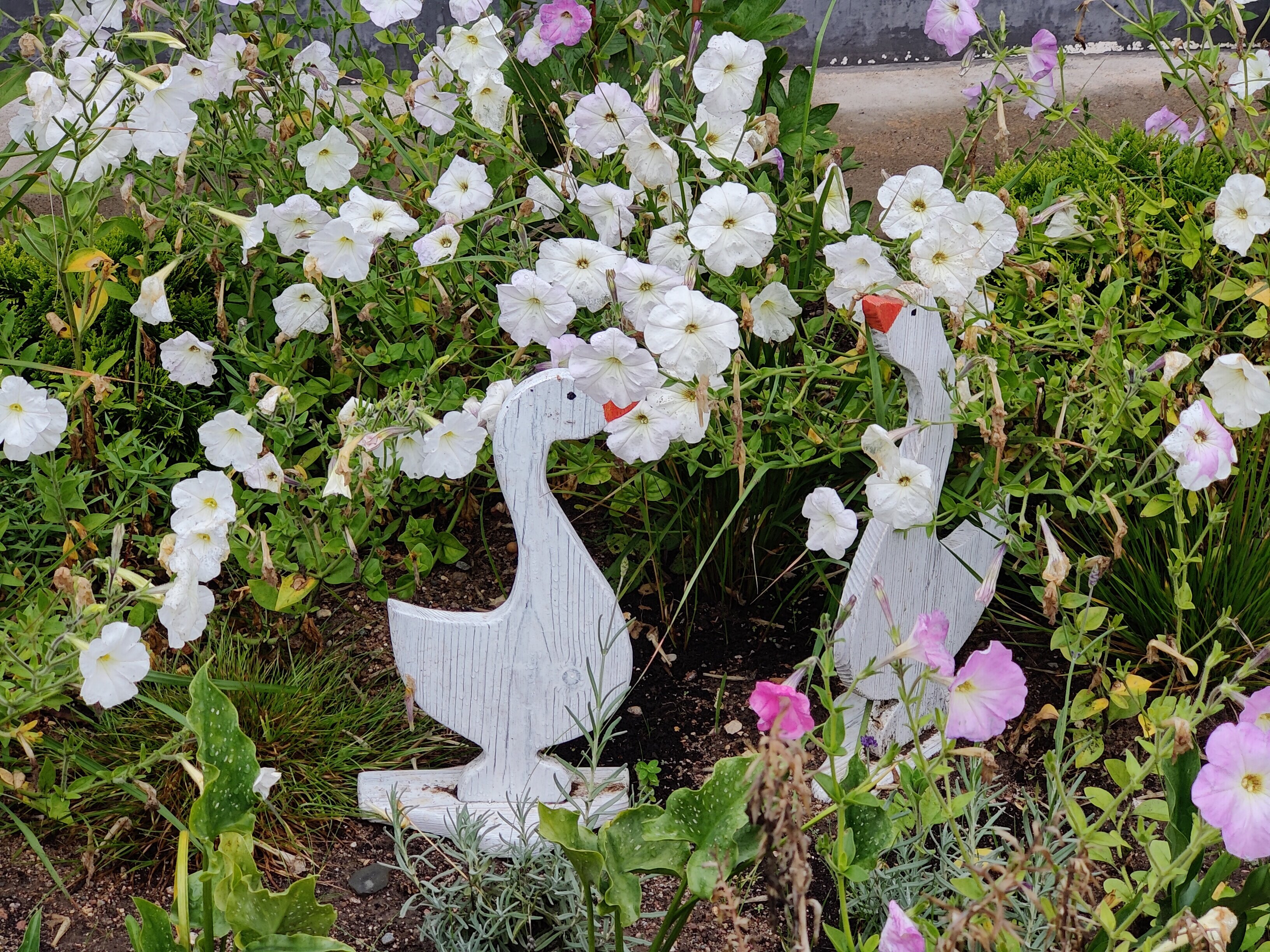 Фото Woodsy house