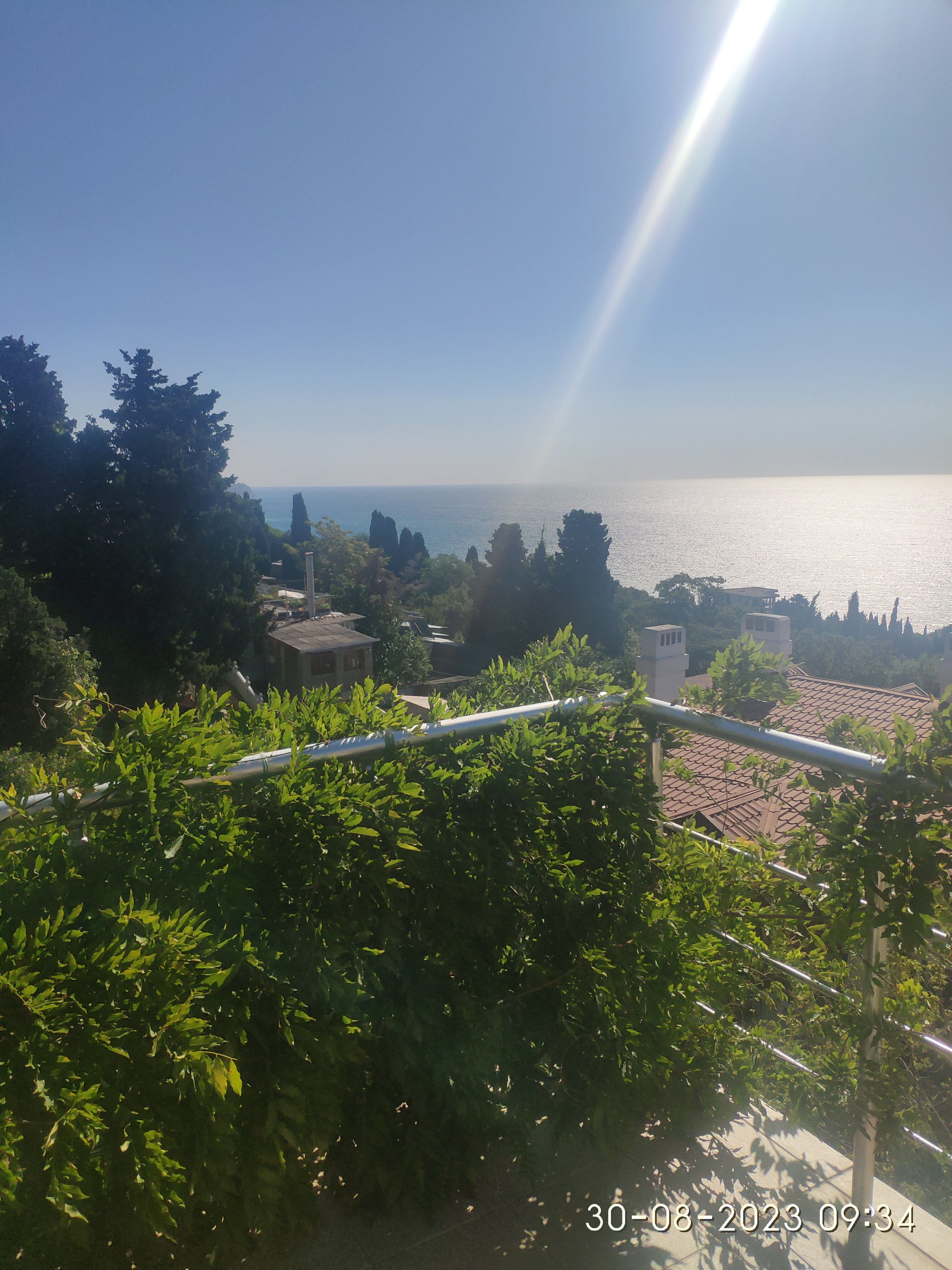 Фото Кедр-Запад