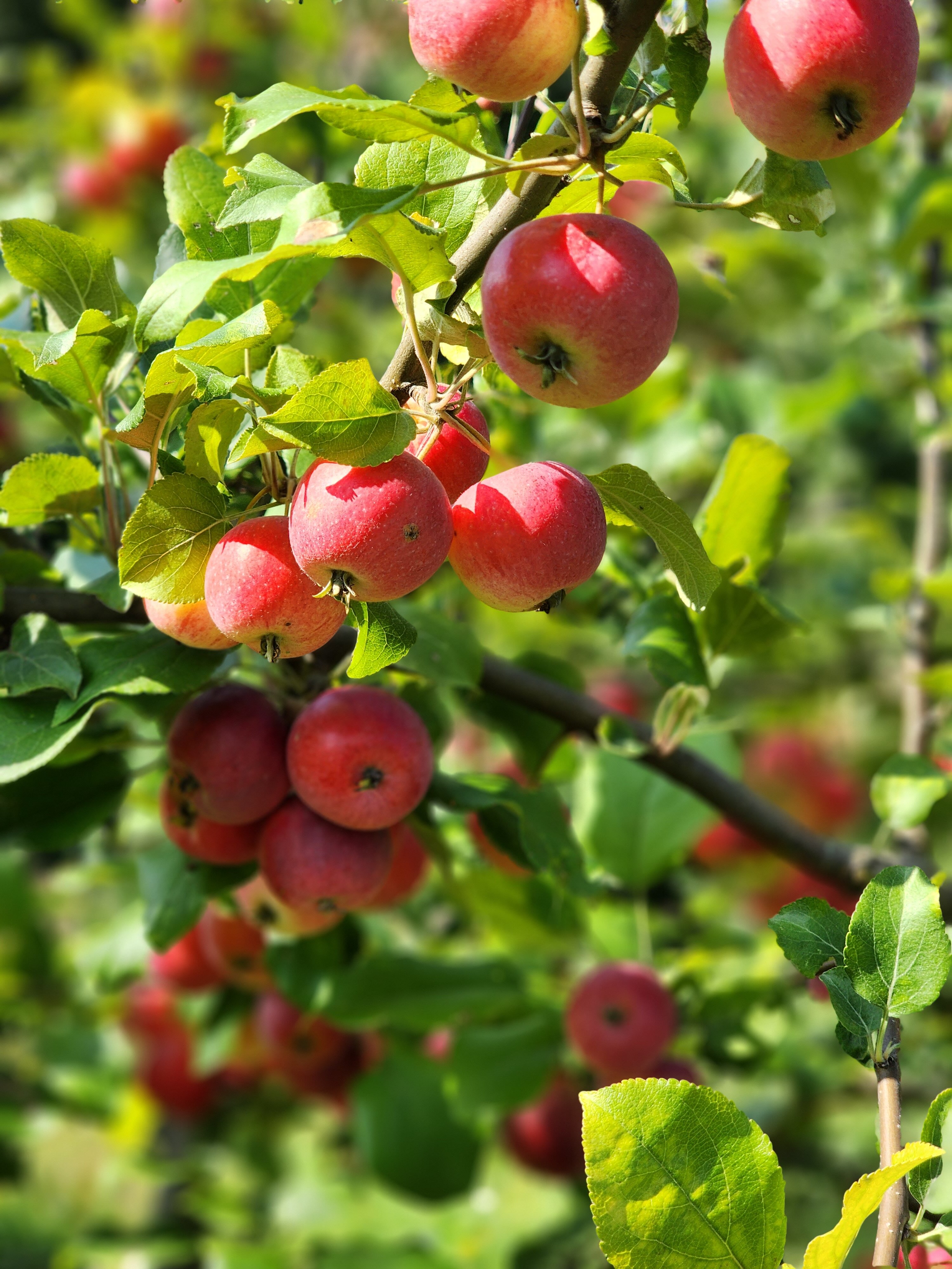 Фото Рыболовная база Ершиха