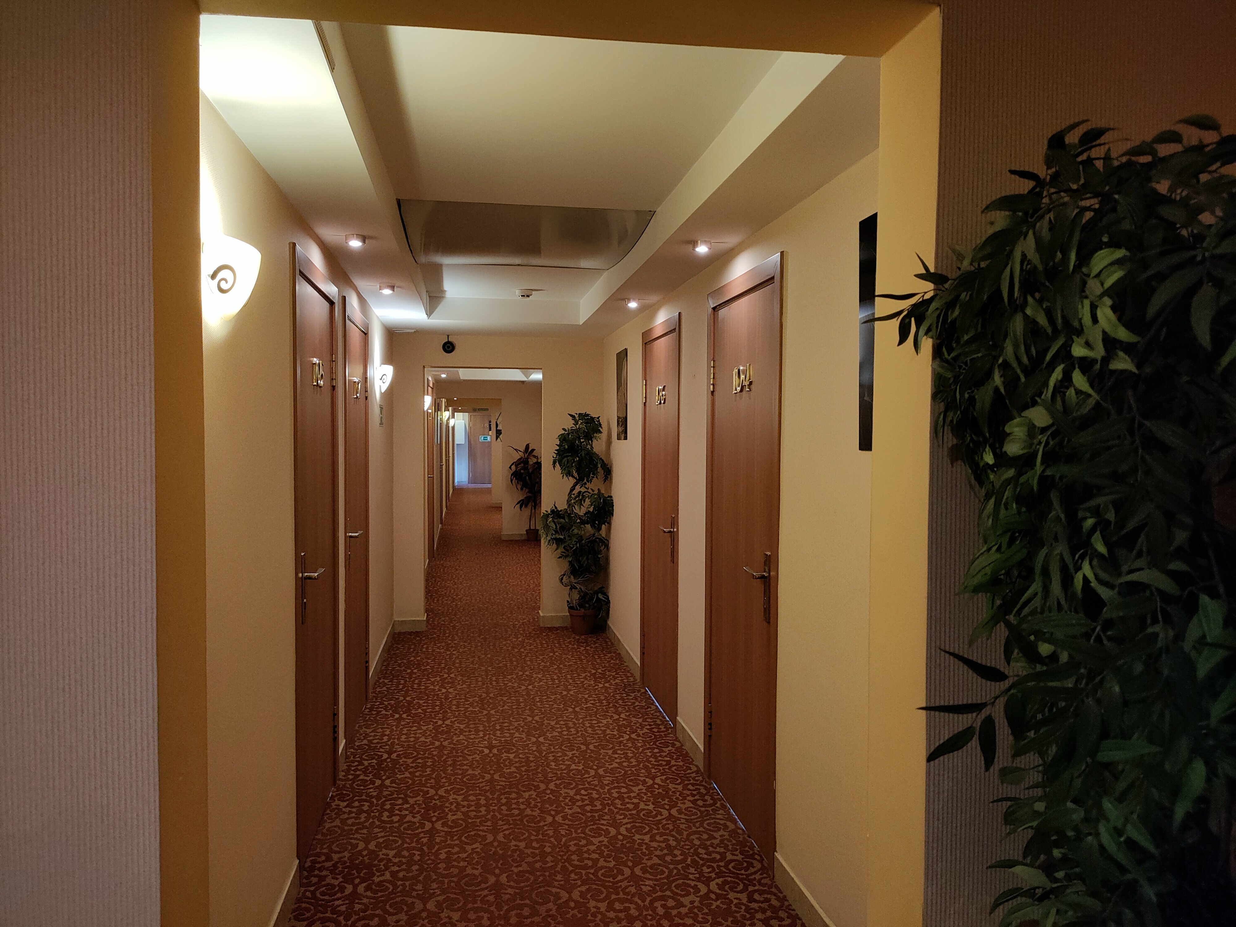 Фото Апельсин