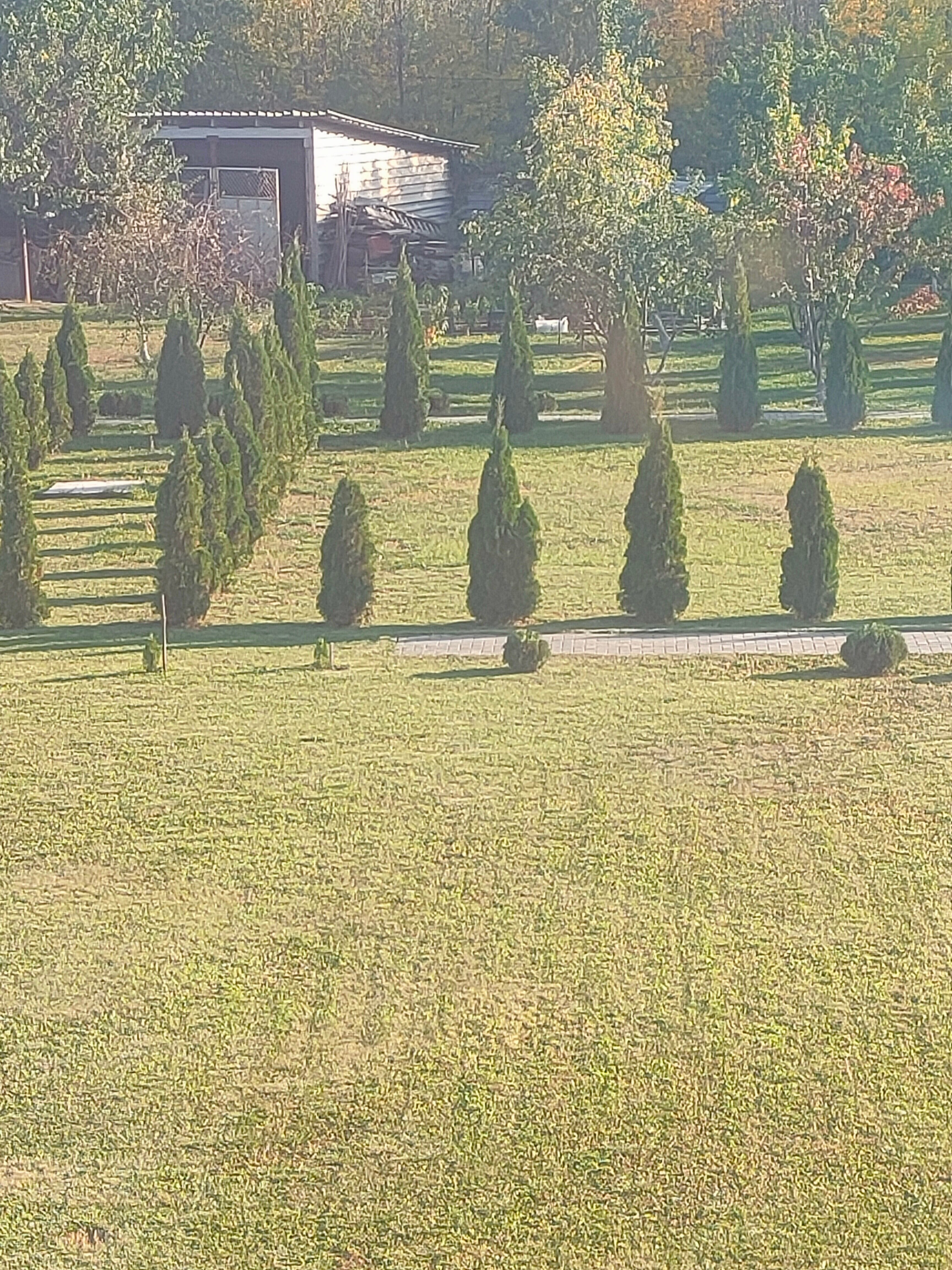 Фото Авиатор