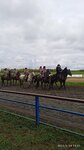 Алтай (Altai Territory, Smolenskiy rayon, selo Novotyryshkino) ، مضمار سباق الخيل
