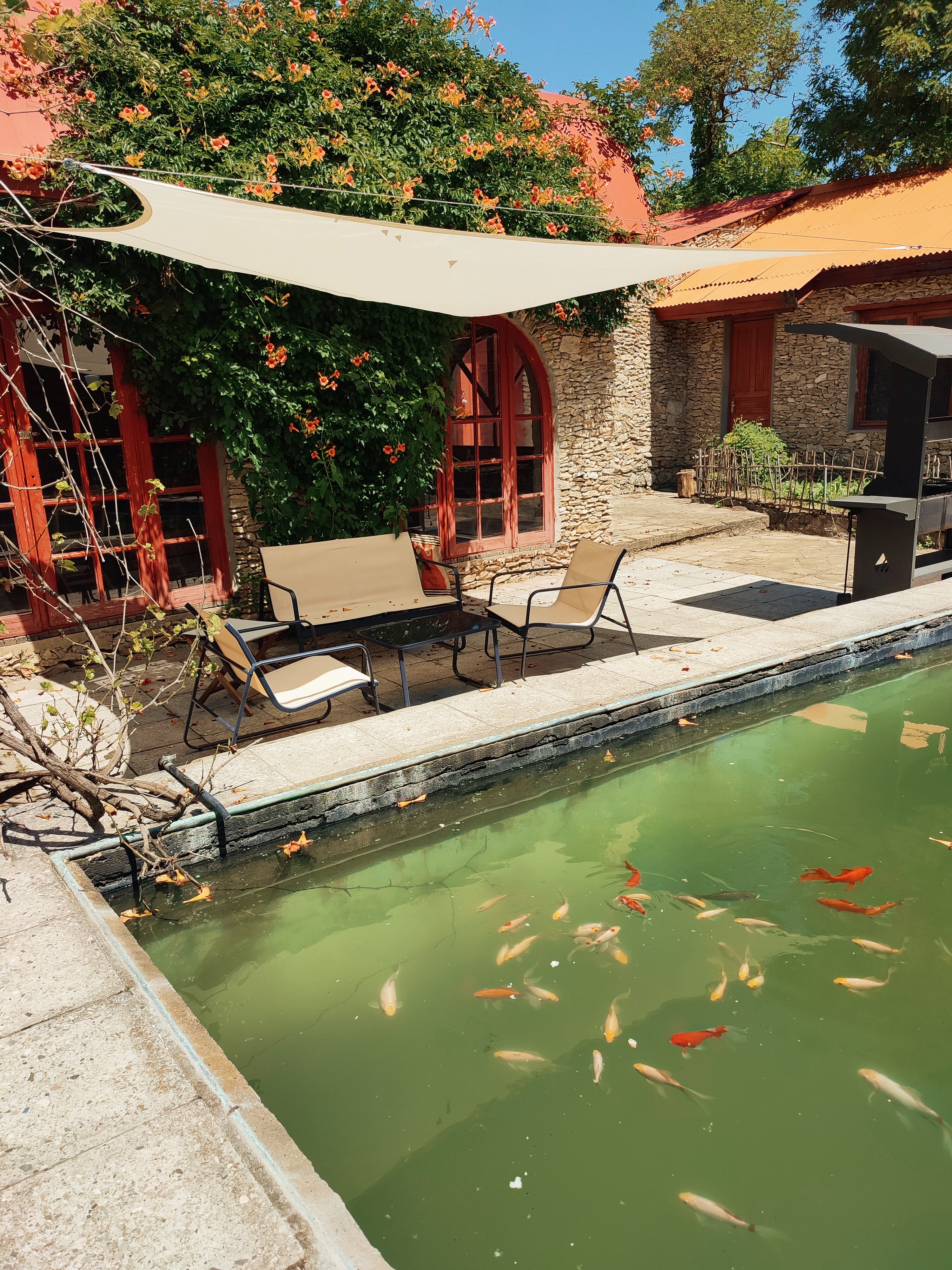 Фото Тихий пруд