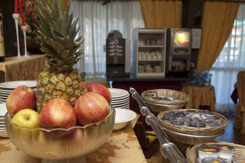 Фото Ai Ronchi Motor Hotel