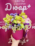 Duar+ flowers and gifts (posyolok gorodskogo tipa Sukhodol, ulitsa Kuybysheva, 10), flower shop