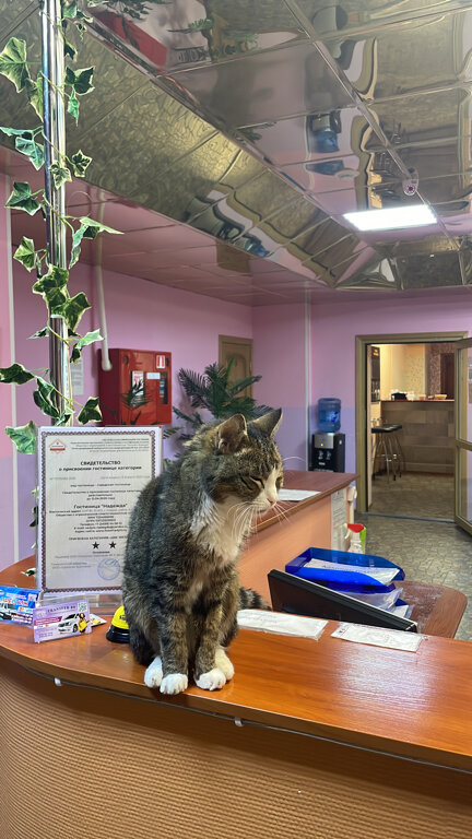 Фото Надежда