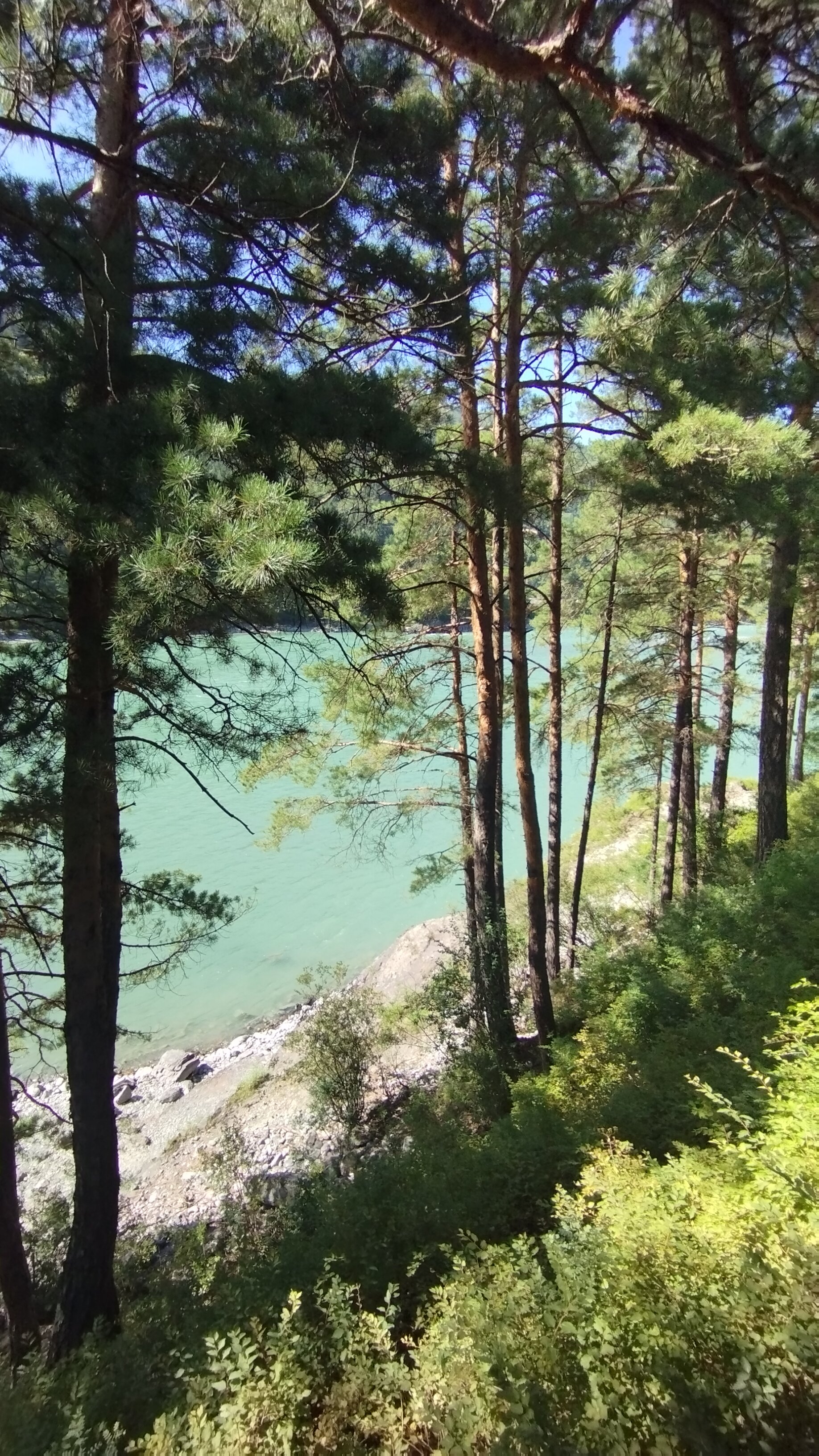 Фото ЧеКаГо