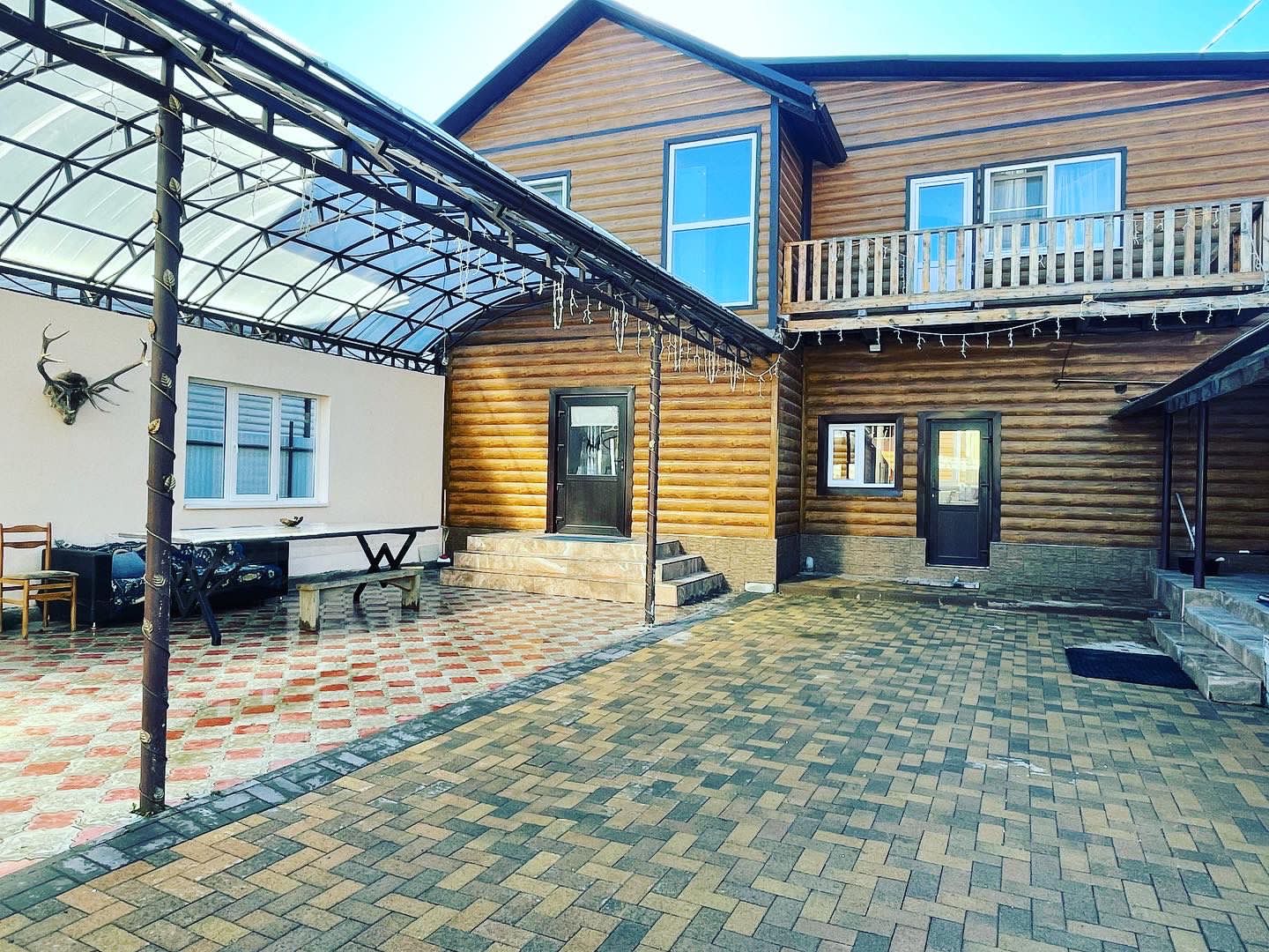 Фото 3 сосны