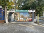 Zoomaniya (Zulfiya Street, 11/2), pet shop