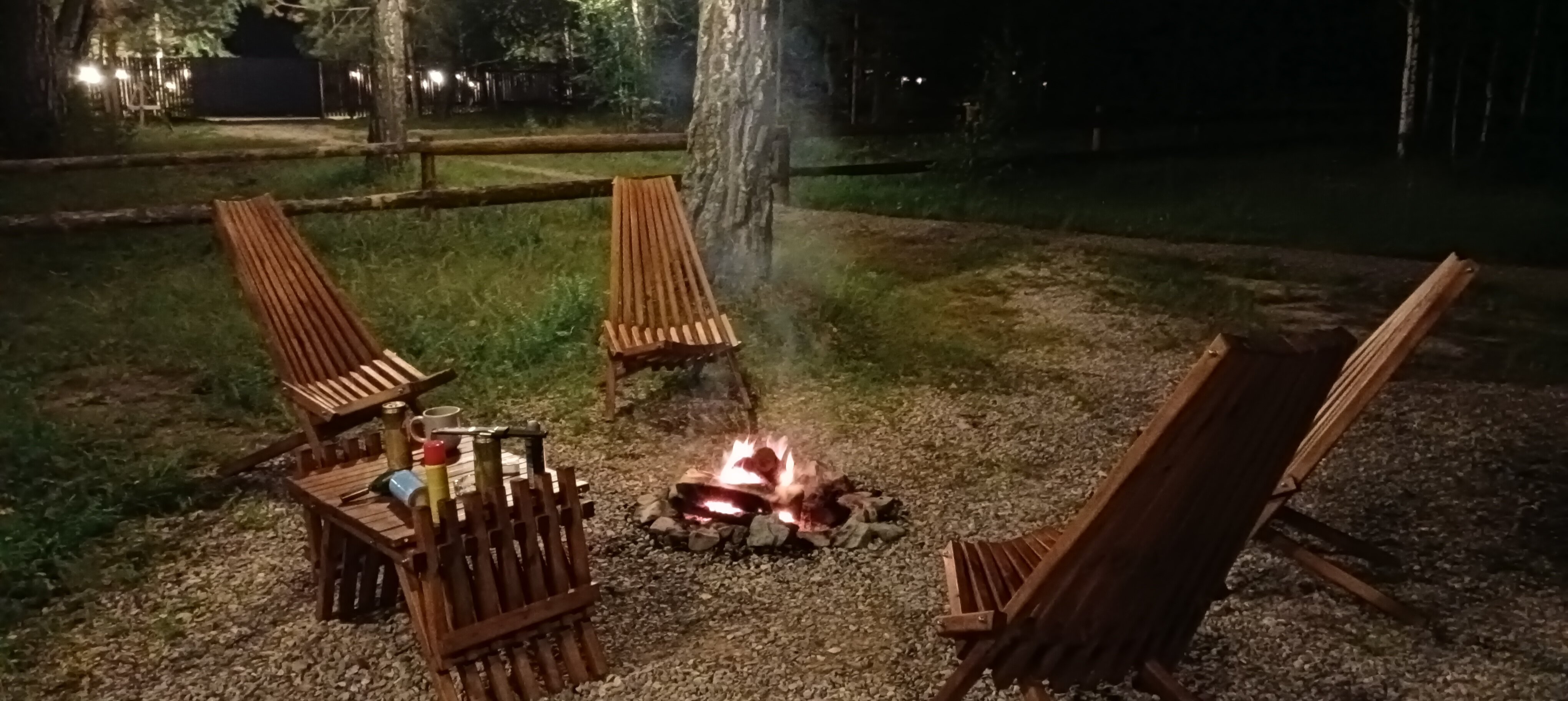 Фото Ветер в соснах