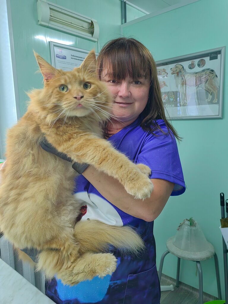 Veterinary clinic СимбаВет, Bobruisk, photo