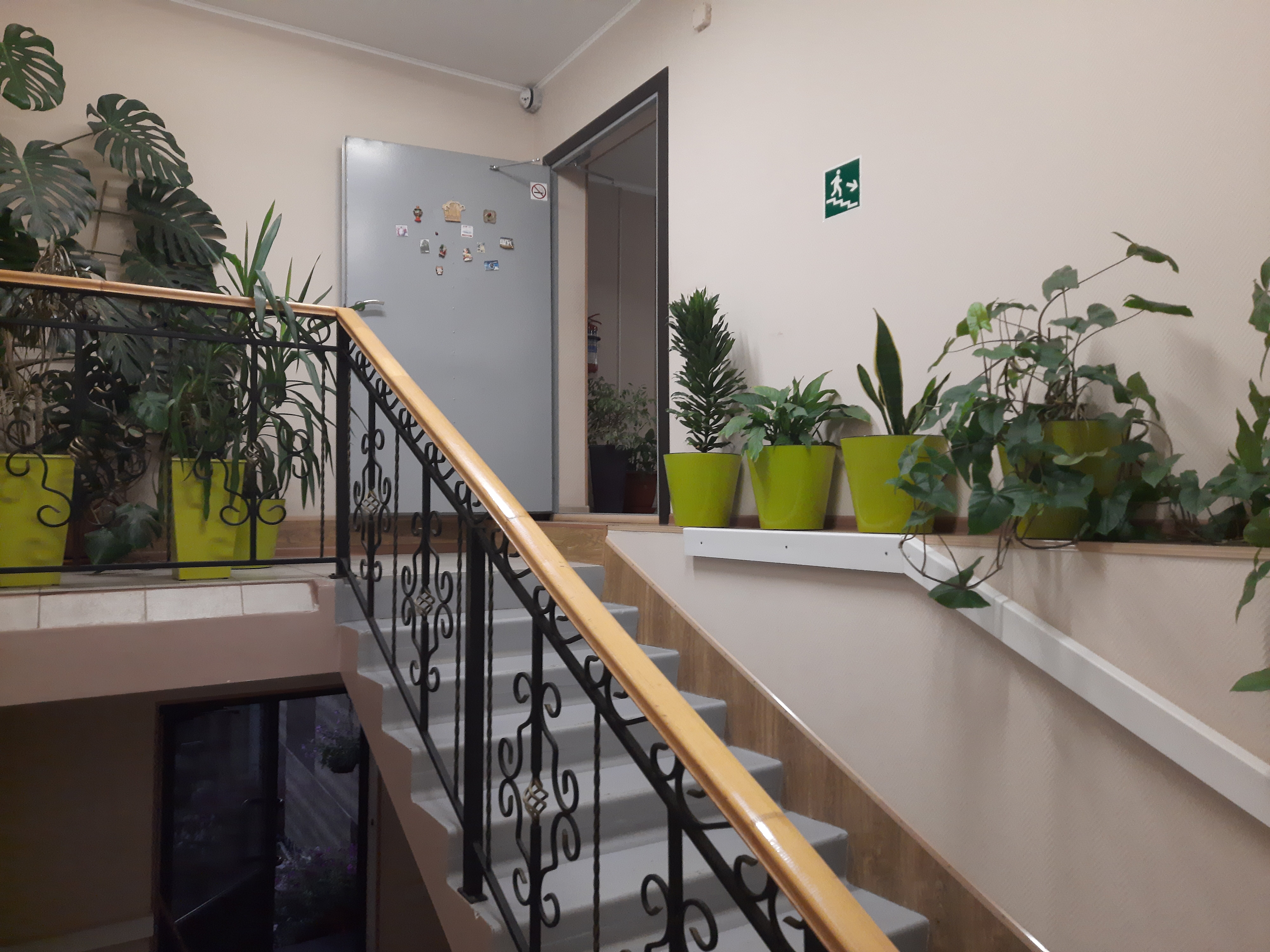 Фото Вилегодское Подворье