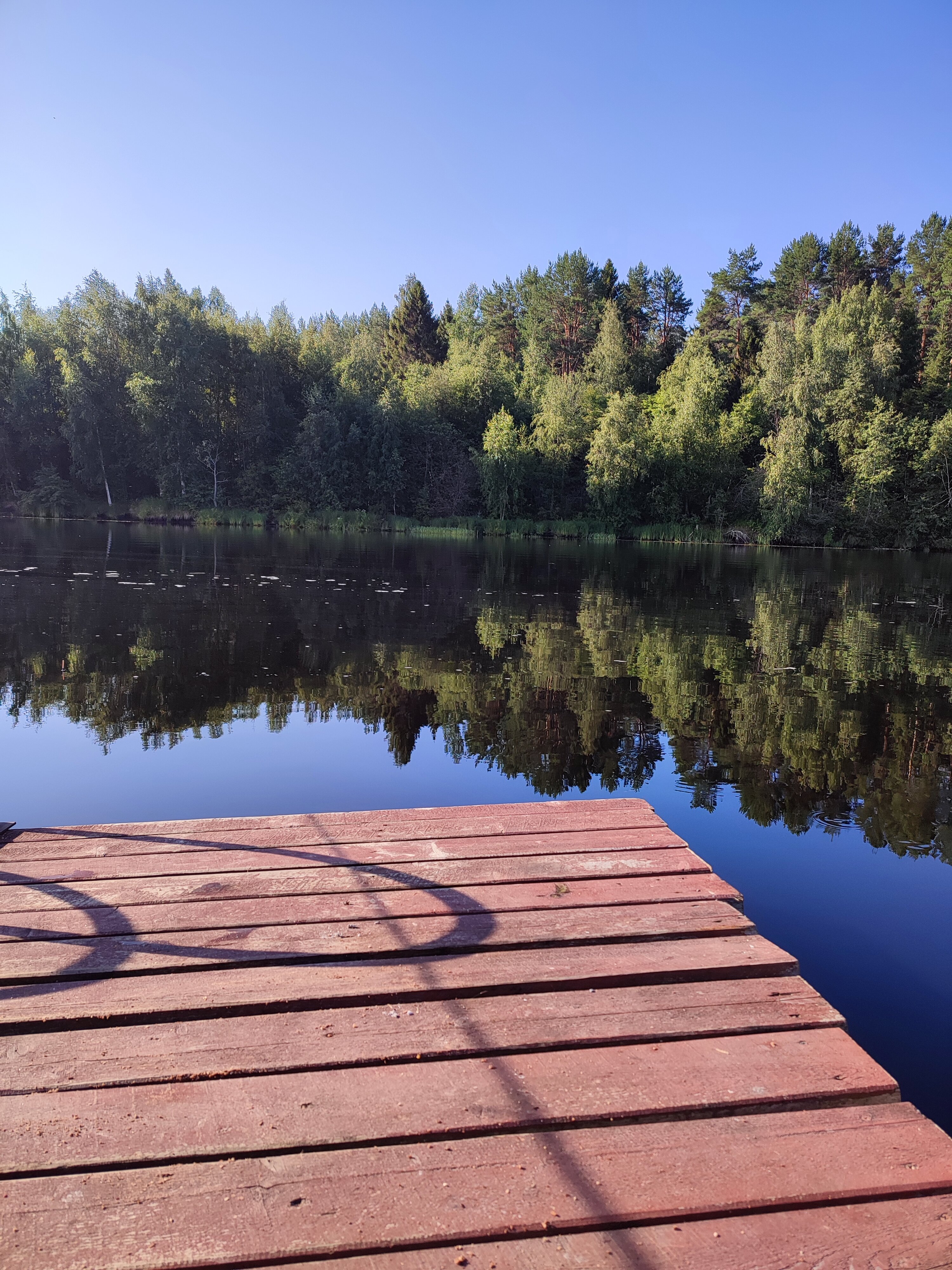 Фото Тулокса